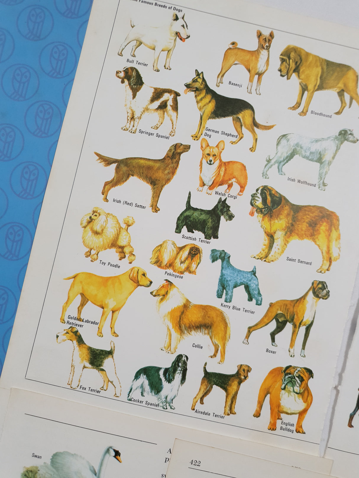 Authentic Vintage Encyclopedia Pages Pack - DJ