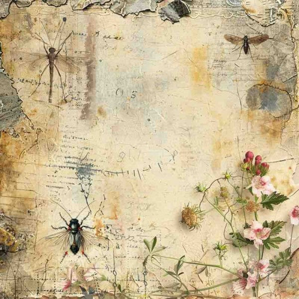 Creative Expressions - Tracie Fox - Entomology - 8 in x 8 in Paper Pad