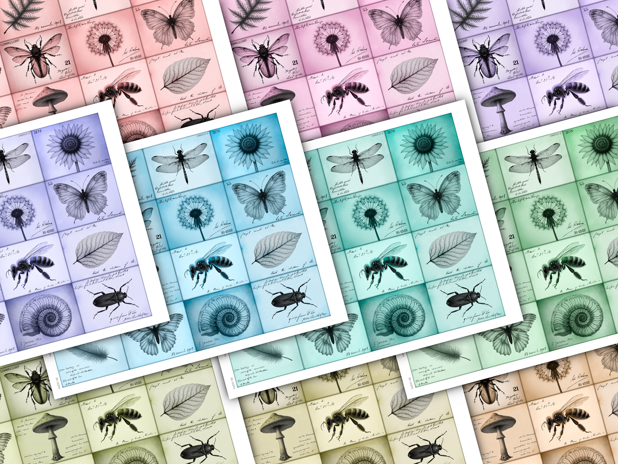 Layering Labels - Set Two - Images - DI-10294 - Digital Download