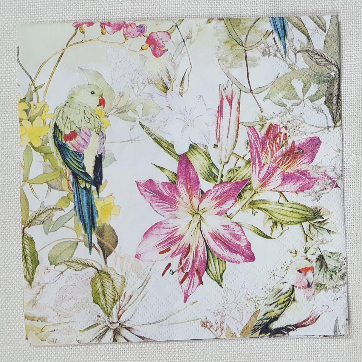 Decoupage Napkin - (DN-8031) - Flora and Fauna