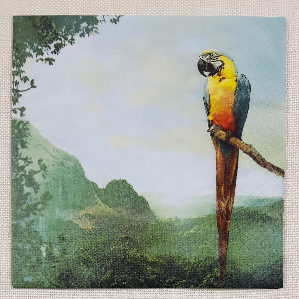 Decoupage Napkin - (DN-8149) - Parrot