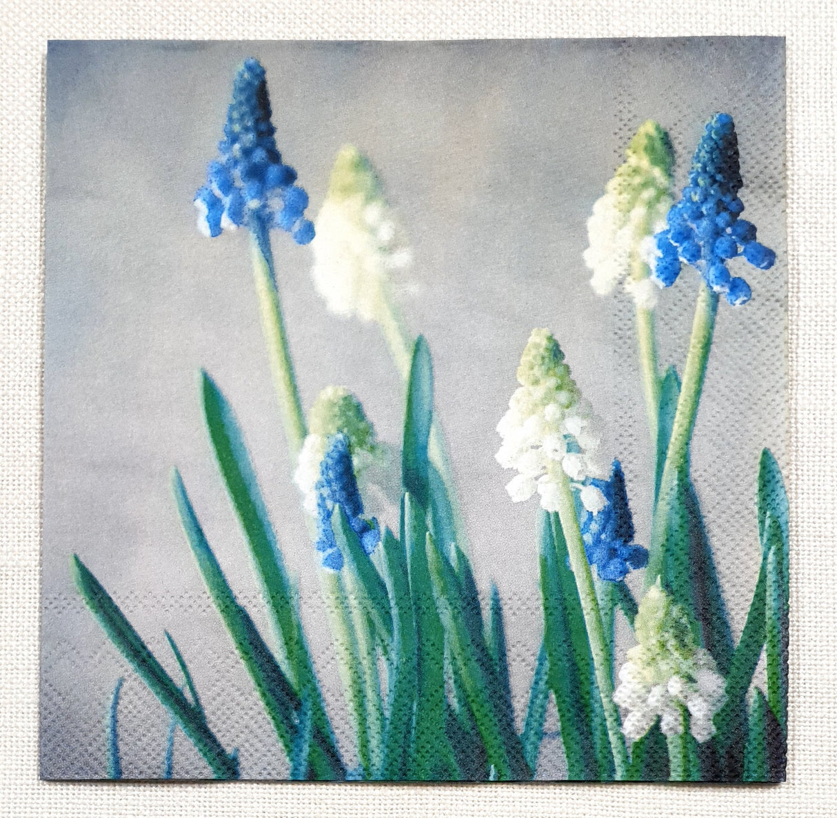 Decoupage Napkin - (DN-8264) - Early Blue Melodies