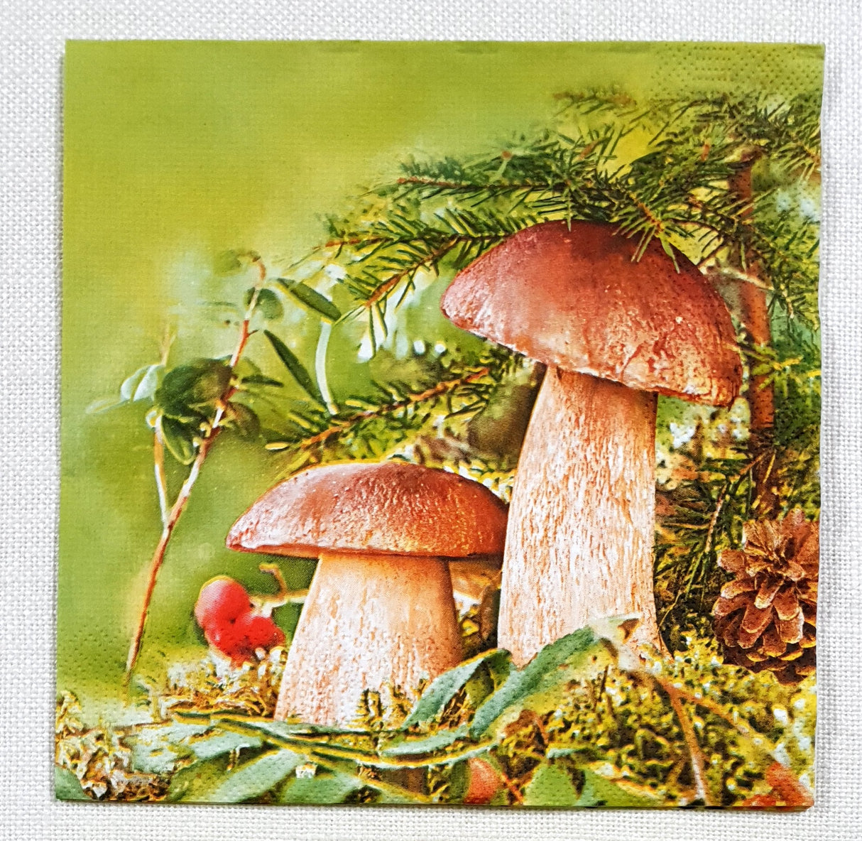 Decoupage Napkin - (DN-8296) - Couple of Boletus