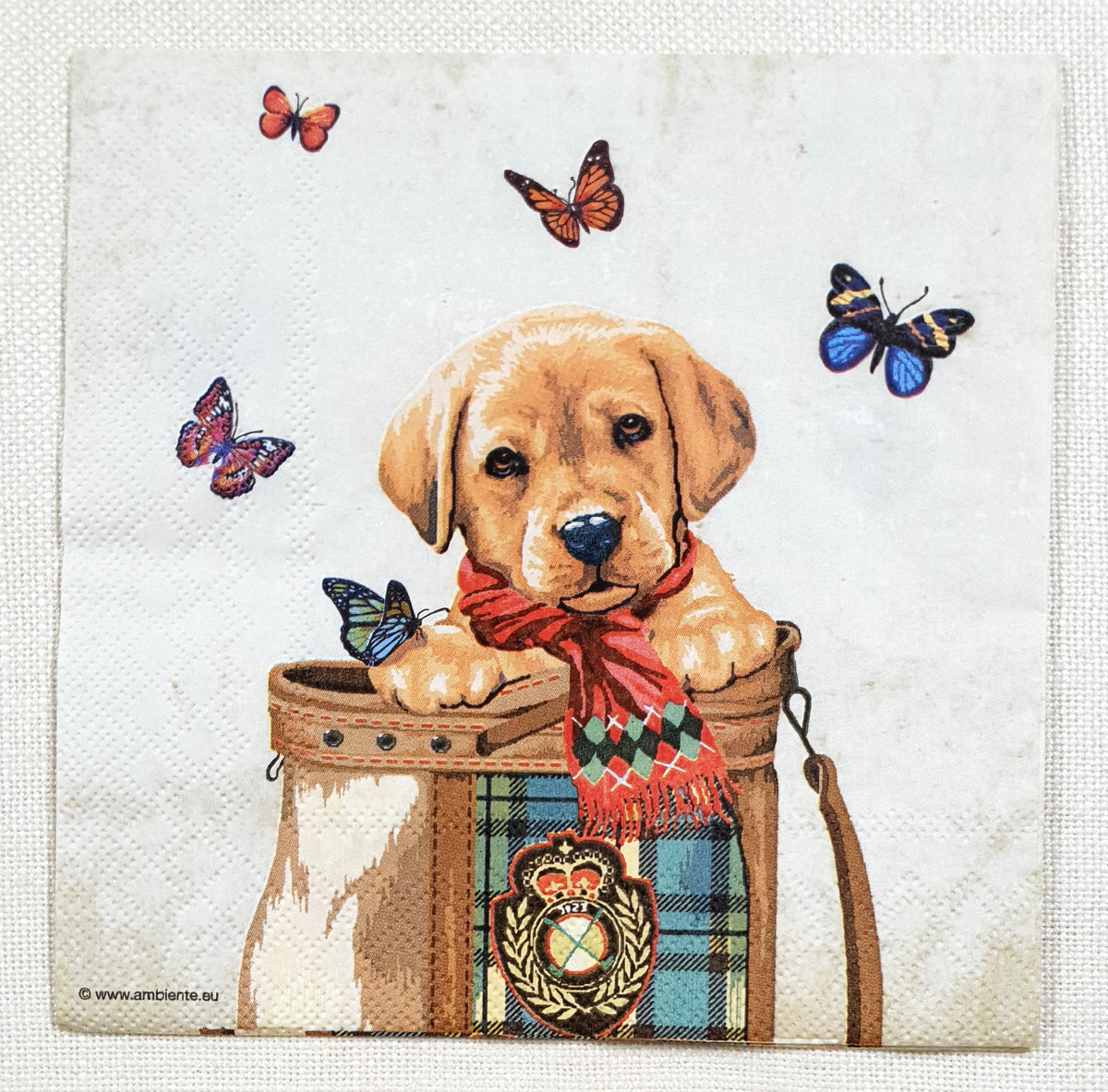 Decoupage Napkin - (DN-8327) - Buddy