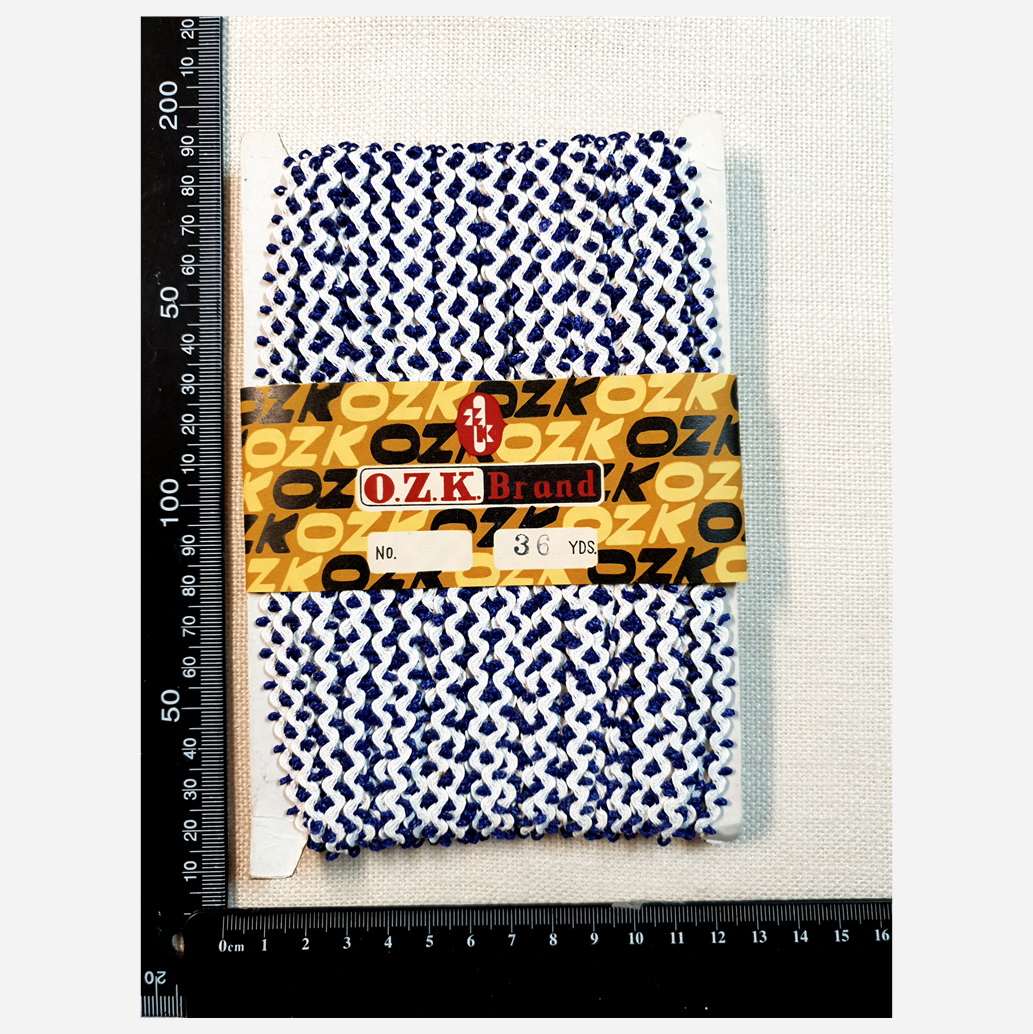 Authentic Vintage Ric Rac - Blue & White