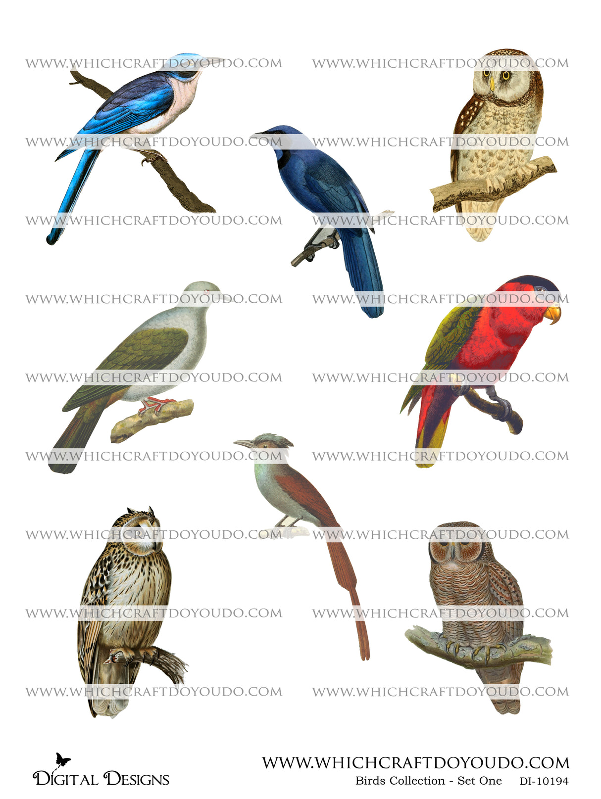 Birds Collection - Set One - DI-10194 - Digital Download