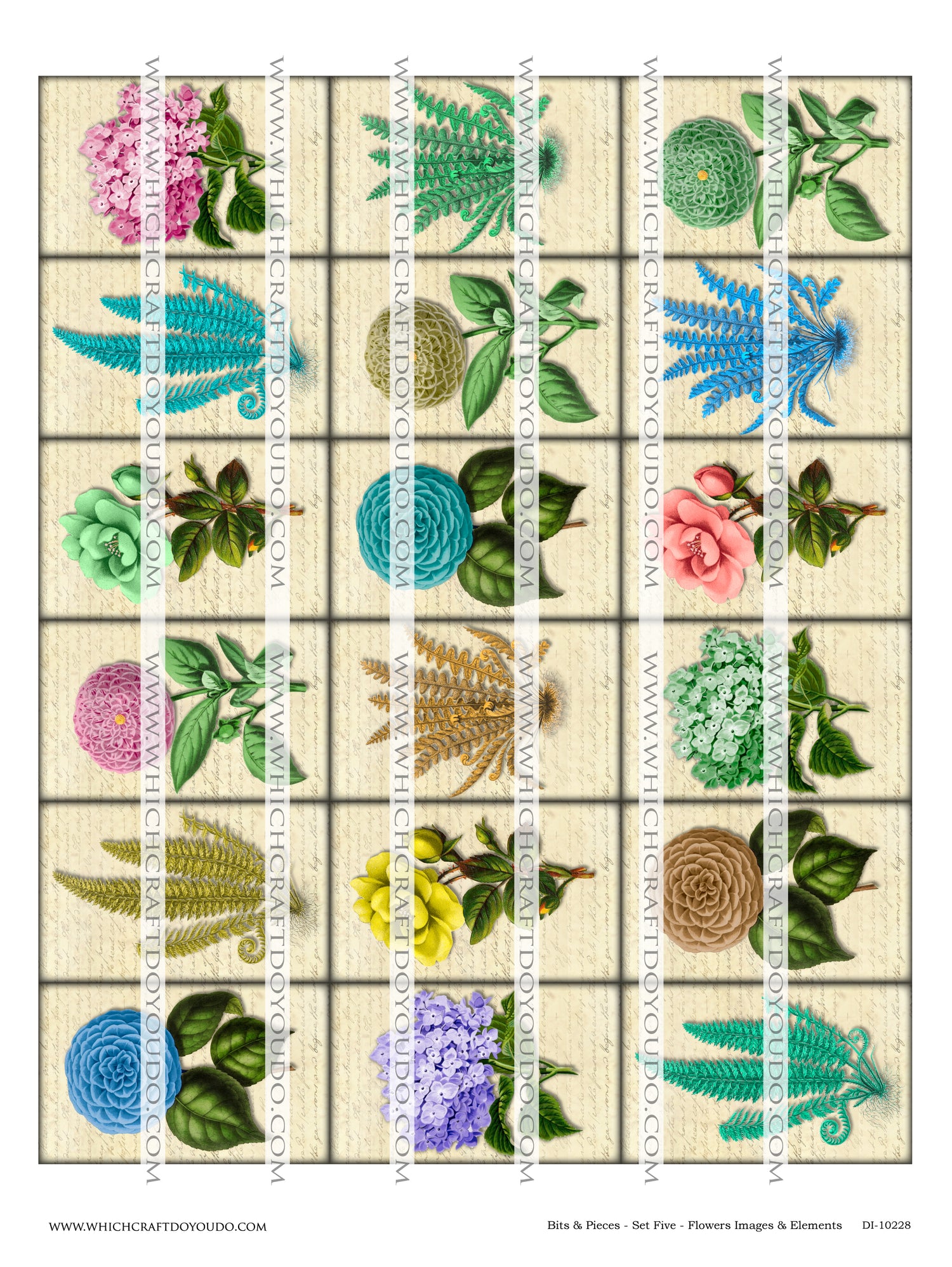 Bits & Pieces - Set Five - Flowers Images & Elements - DI-10228 - Digital Download