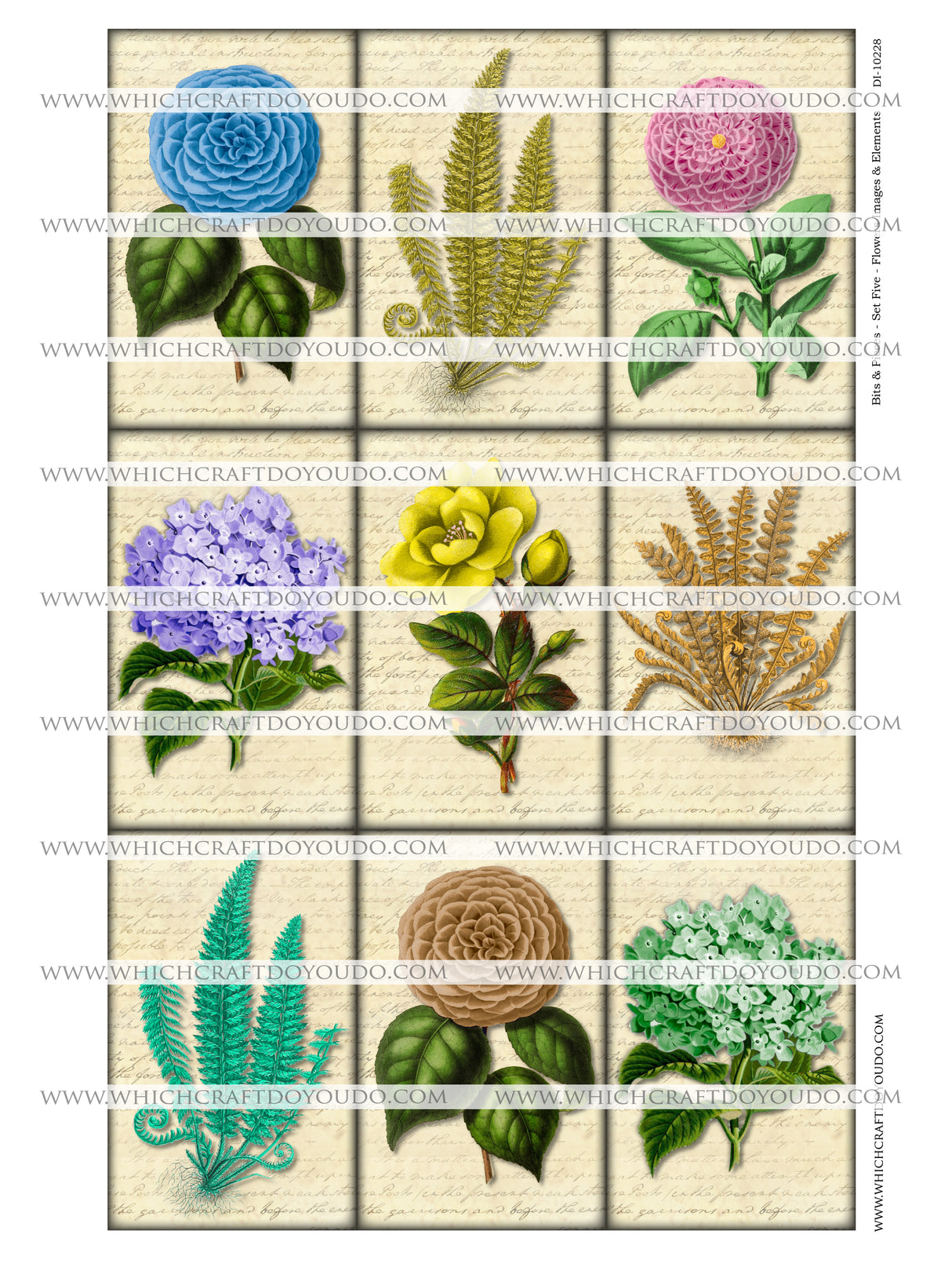 Bits & Pieces - Set Five - Flowers Images & Elements - DI-10228 - Digital Download