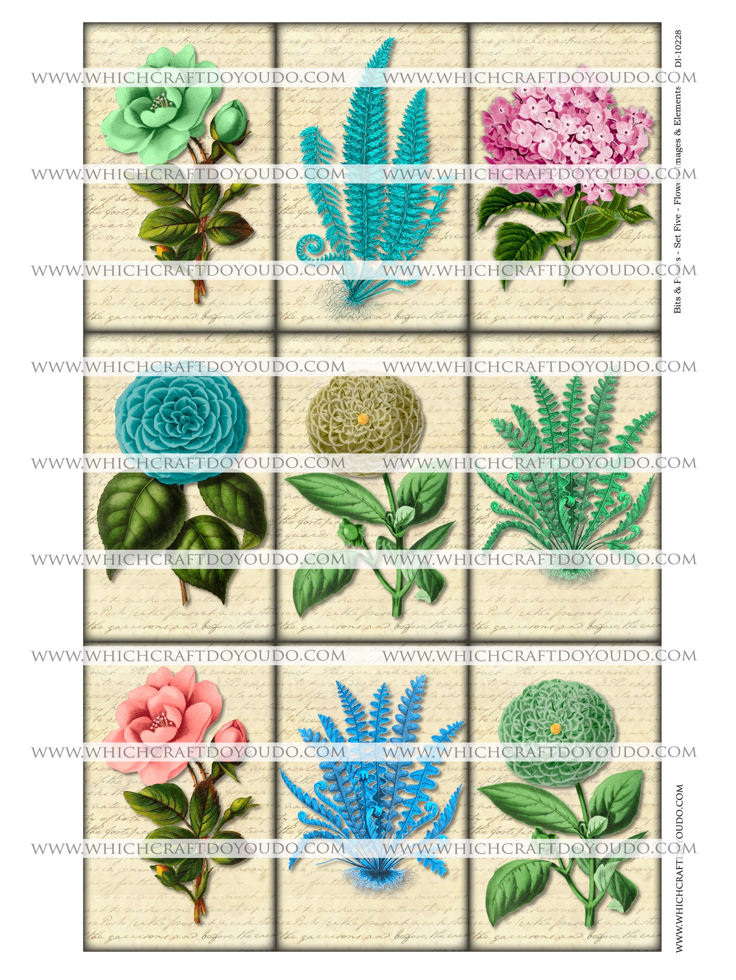 Bits & Pieces - Set Five - Flowers Images & Elements - DI-10228 - Digital Download