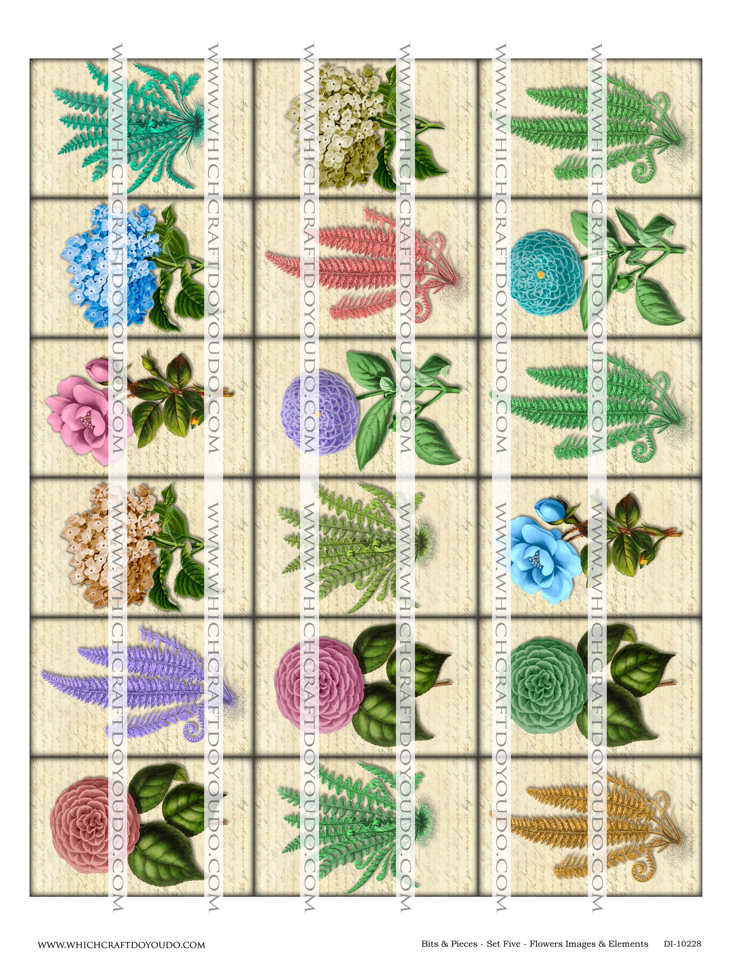 Bits & Pieces - Set Five - Flowers Images & Elements - DI-10228 - Digital Download