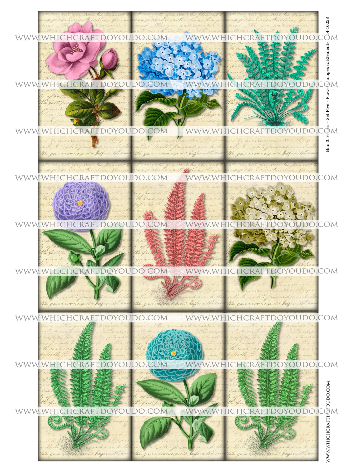 Bits & Pieces - Set Five - Flowers Images & Elements - DI-10228 - Digital Download