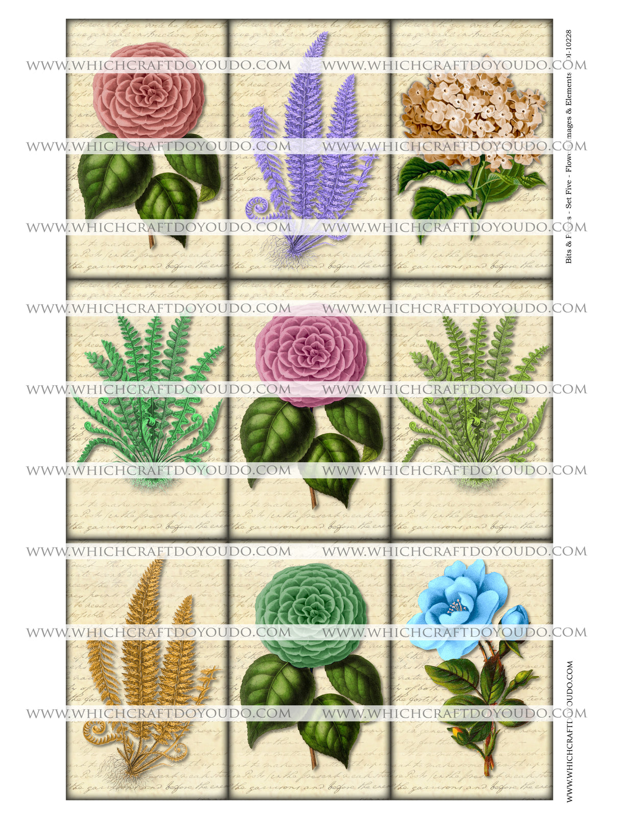 Bits & Pieces - Set Five - Flowers Images & Elements - DI-10228 - Digital Download