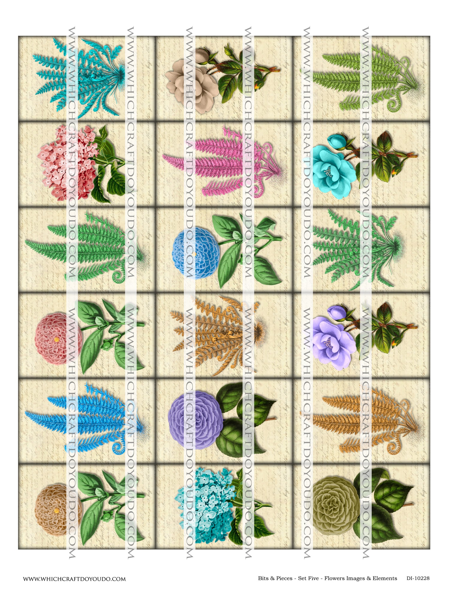 Bits & Pieces - Set Five - Flowers Images & Elements - DI-10228 - Digital Download