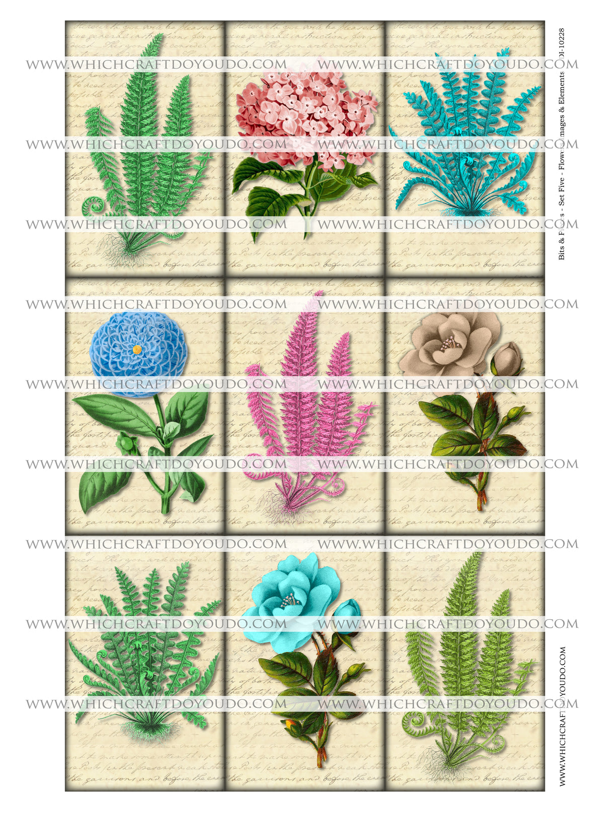 Bits & Pieces - Set Five - Flowers Images & Elements - DI-10228 - Digital Download