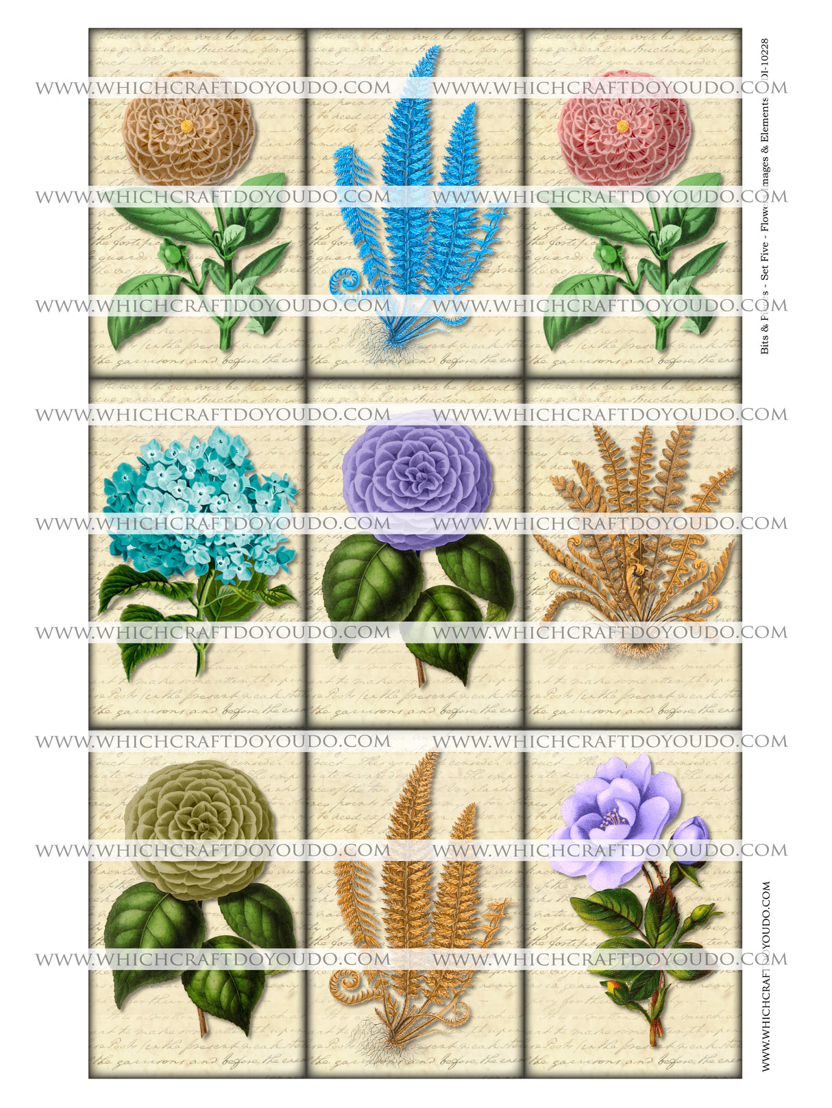 Bits & Pieces - Set Five - Flowers Images & Elements - DI-10228 - Digital Download