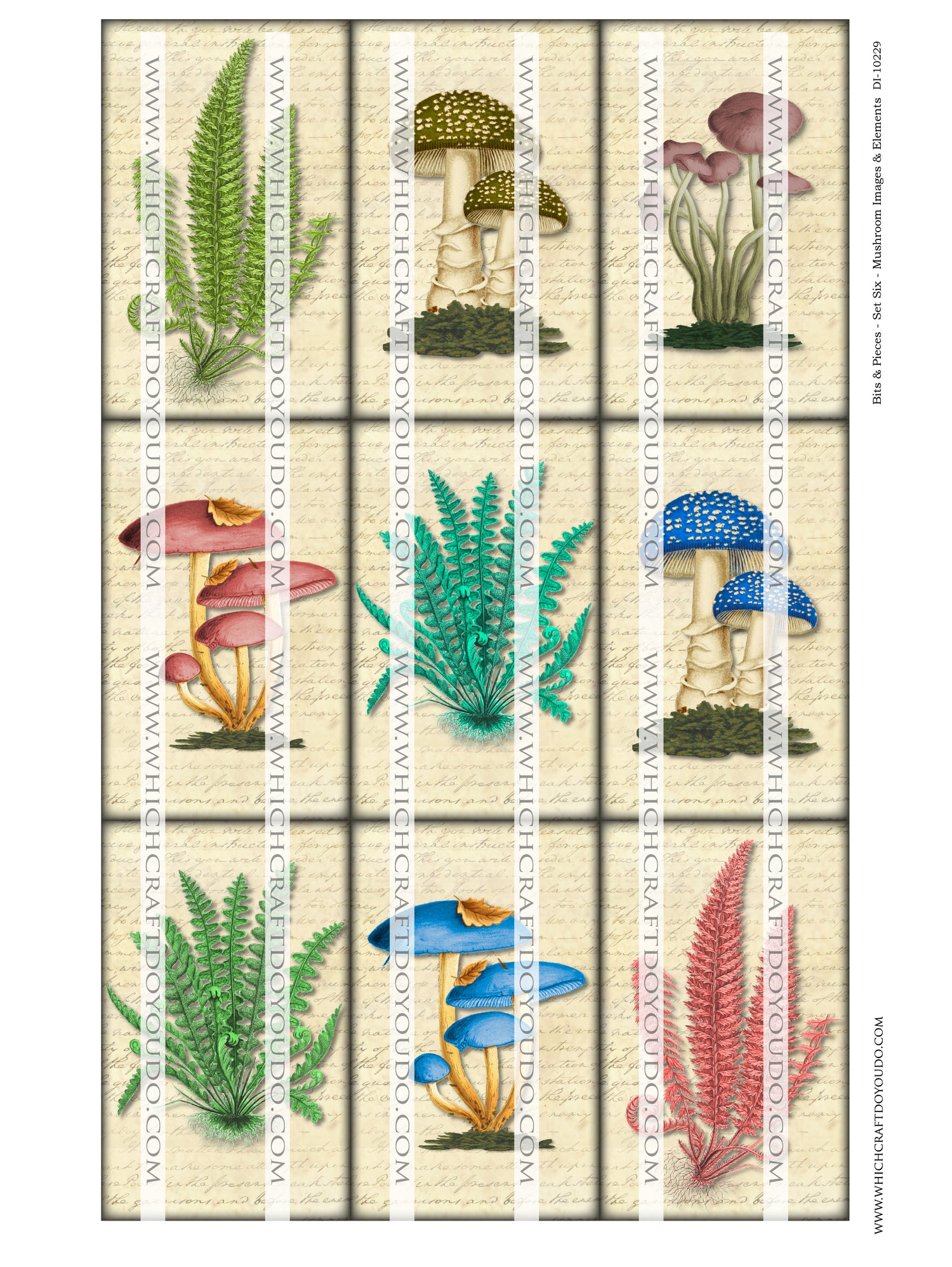 Bits & Pieces - Set Six - Mushrooms Images & Elements - DI-10229 - Digital Download