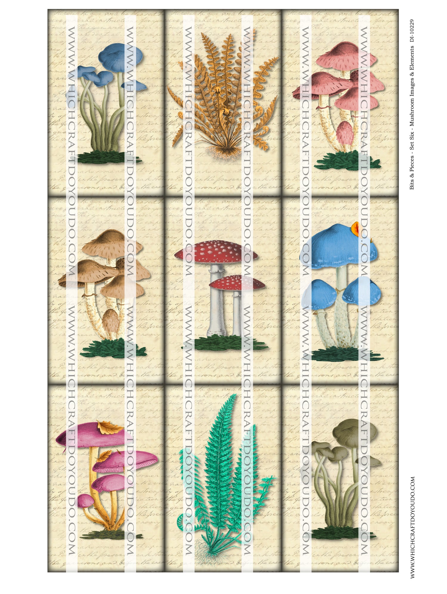 Bits & Pieces - Set Six - Mushrooms Images & Elements - DI-10229 - Digital Download
