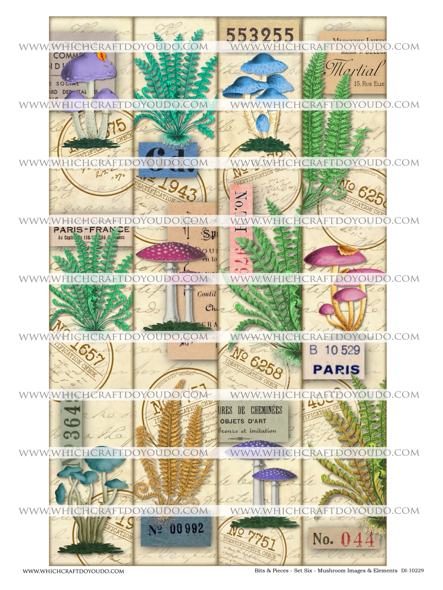 Bits & Pieces - Set Six - Mushrooms Images & Elements - DI-10229 - Digital Download