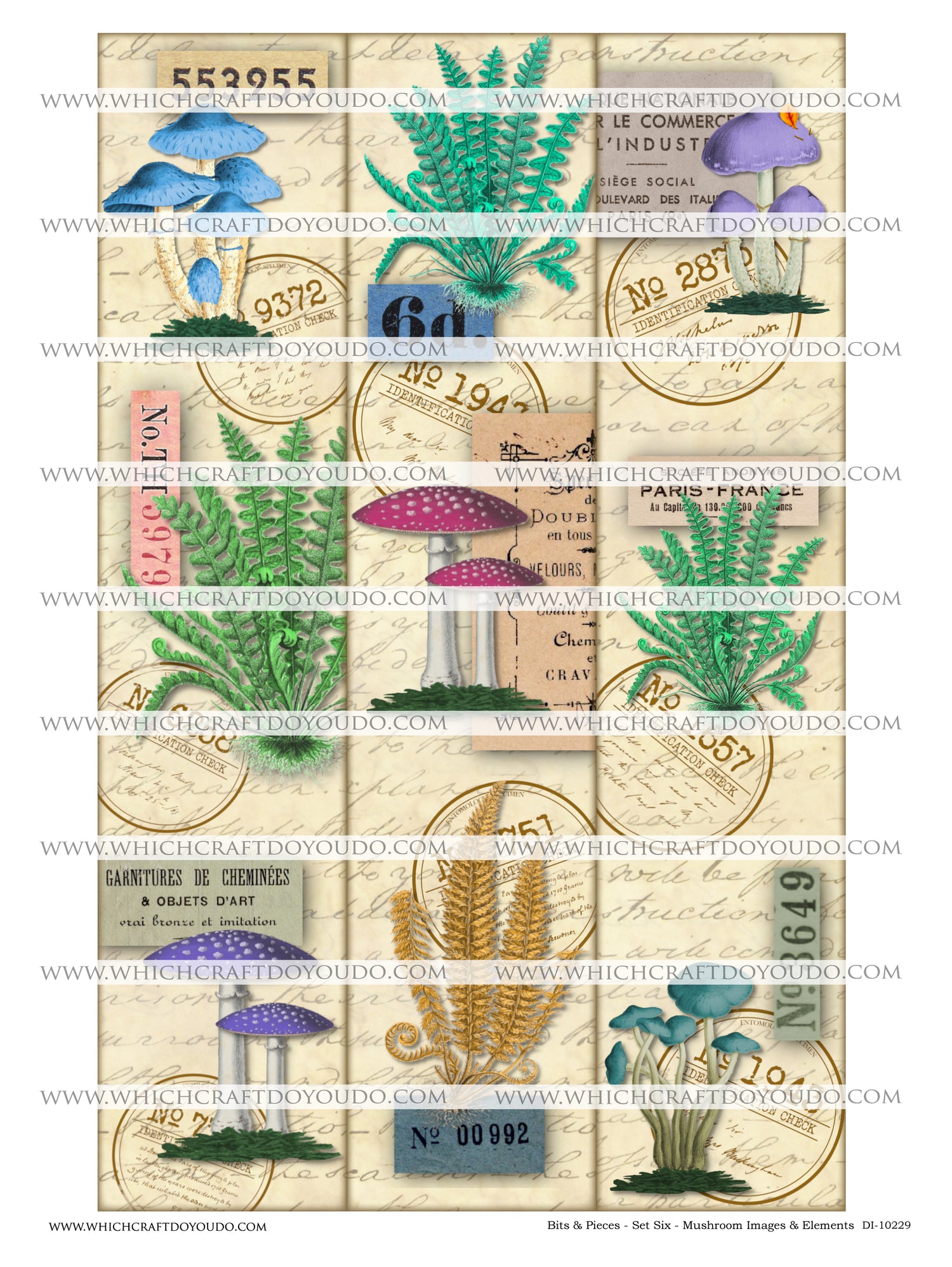 Bits & Pieces - Set Six - Mushrooms Images & Elements - DI-10229 - Digital Download