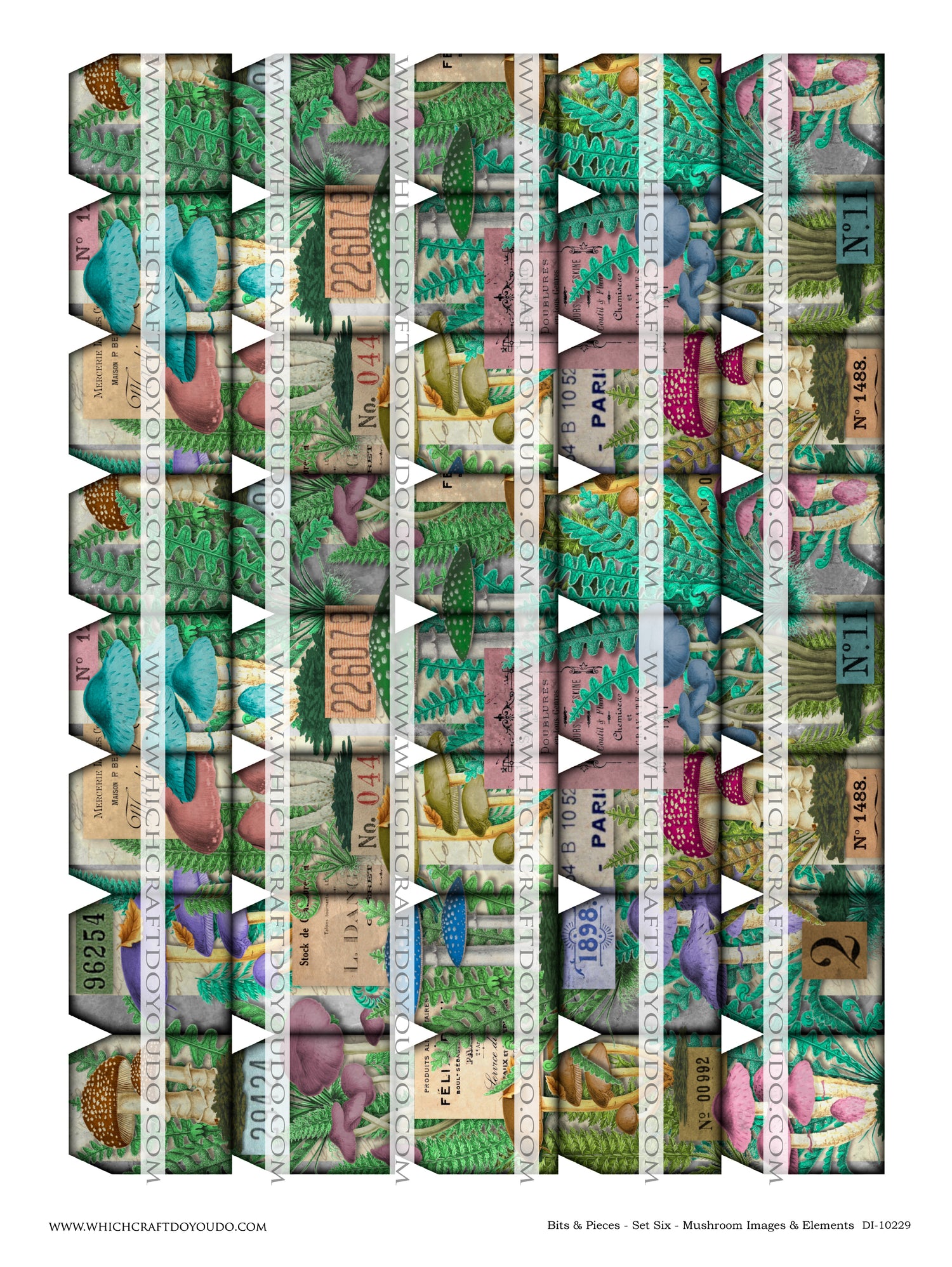Bits & Pieces - Set Six - Mushrooms Images & Elements - DI-10229 - Digital Download