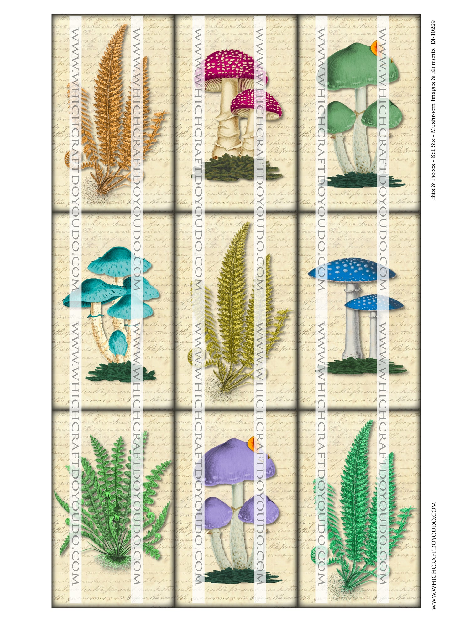 Bits & Pieces - Set Six - Mushrooms Images & Elements - DI-10229 - Digital Download