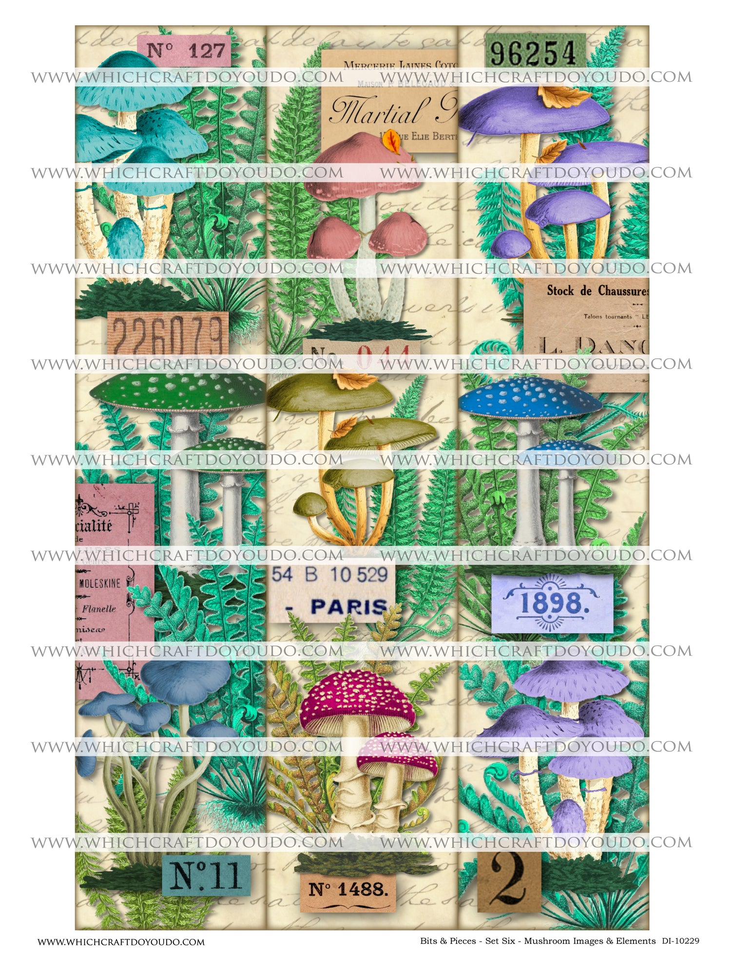 Bits & Pieces - Set Six - Mushrooms Images & Elements - DI-10229 - Digital Download