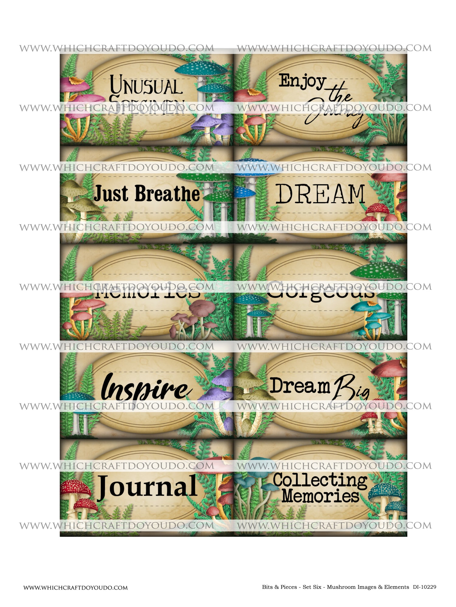 Bits & Pieces - Set Six - Mushrooms Images & Elements - DI-10229 - Digital Download