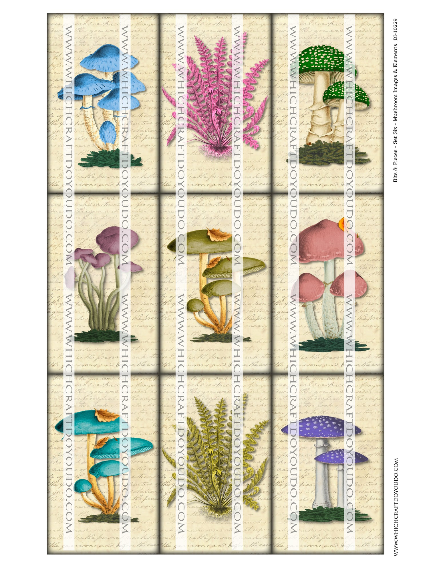 Bits & Pieces - Set Six - Mushrooms Images & Elements - DI-10229 - Digital Download