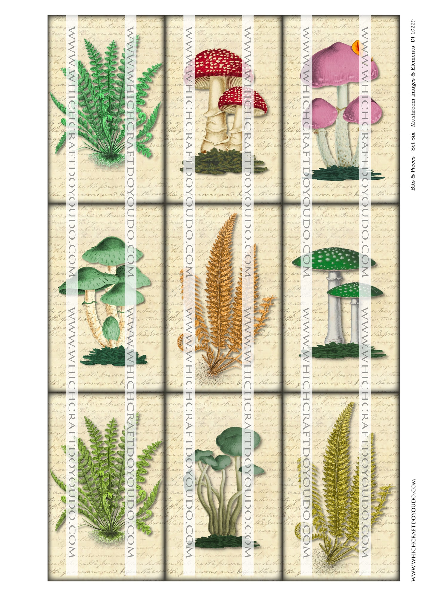 Bits & Pieces - Set Six - Mushrooms Images & Elements - DI-10229 - Digital Download