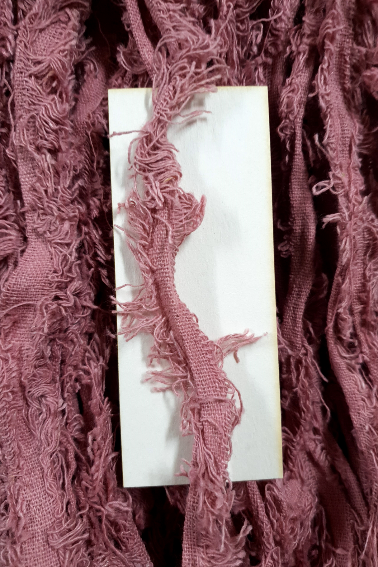 Cotton Frizz Ribbon - Blush - Hank