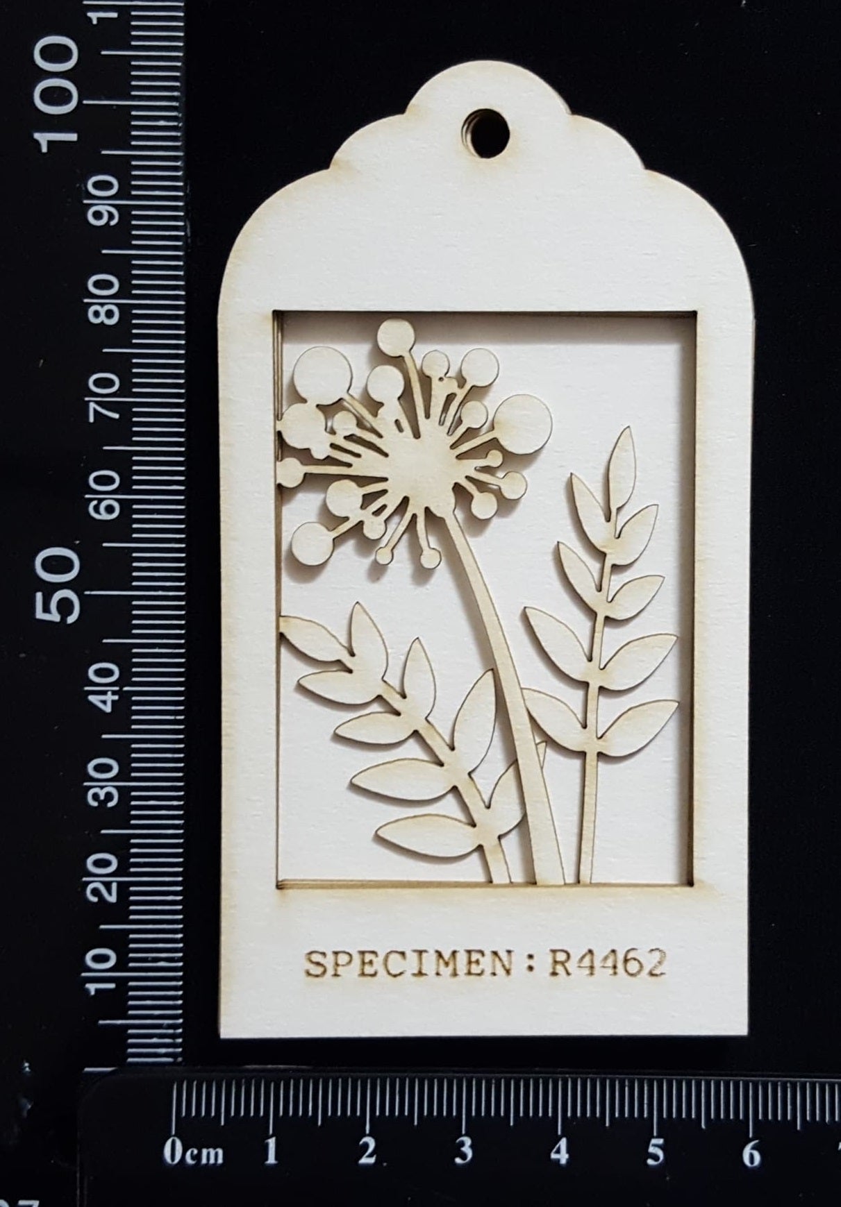 Botanical - Mini Shadow Box - D - White Chipboard