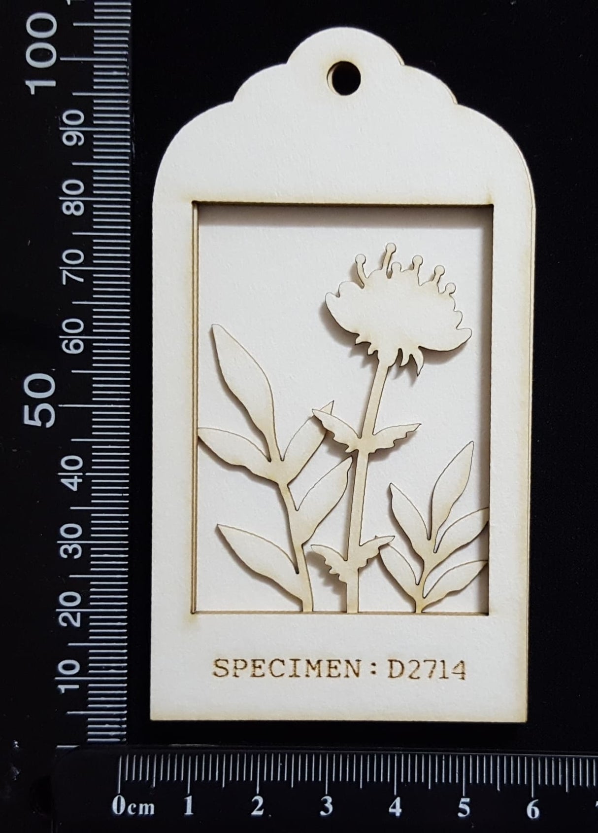 Botanical - Mini Shadow Box - E - White Chipboard
