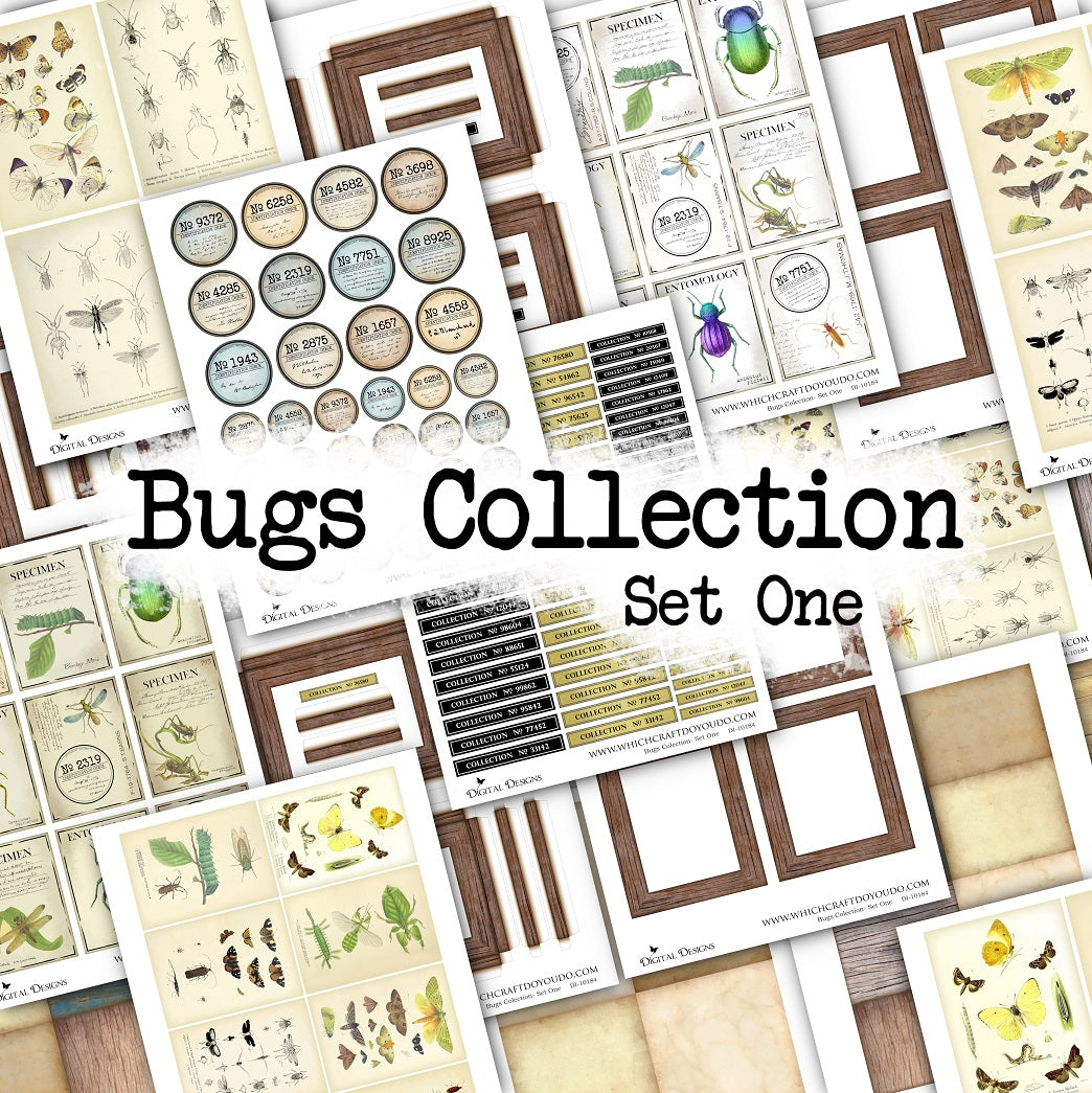 Bugs Collection - Set One - DI-10184 - Digital Download