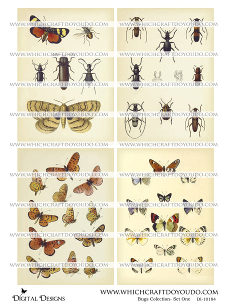Bugs Collection - Set One - DI-10184 - Digital Download