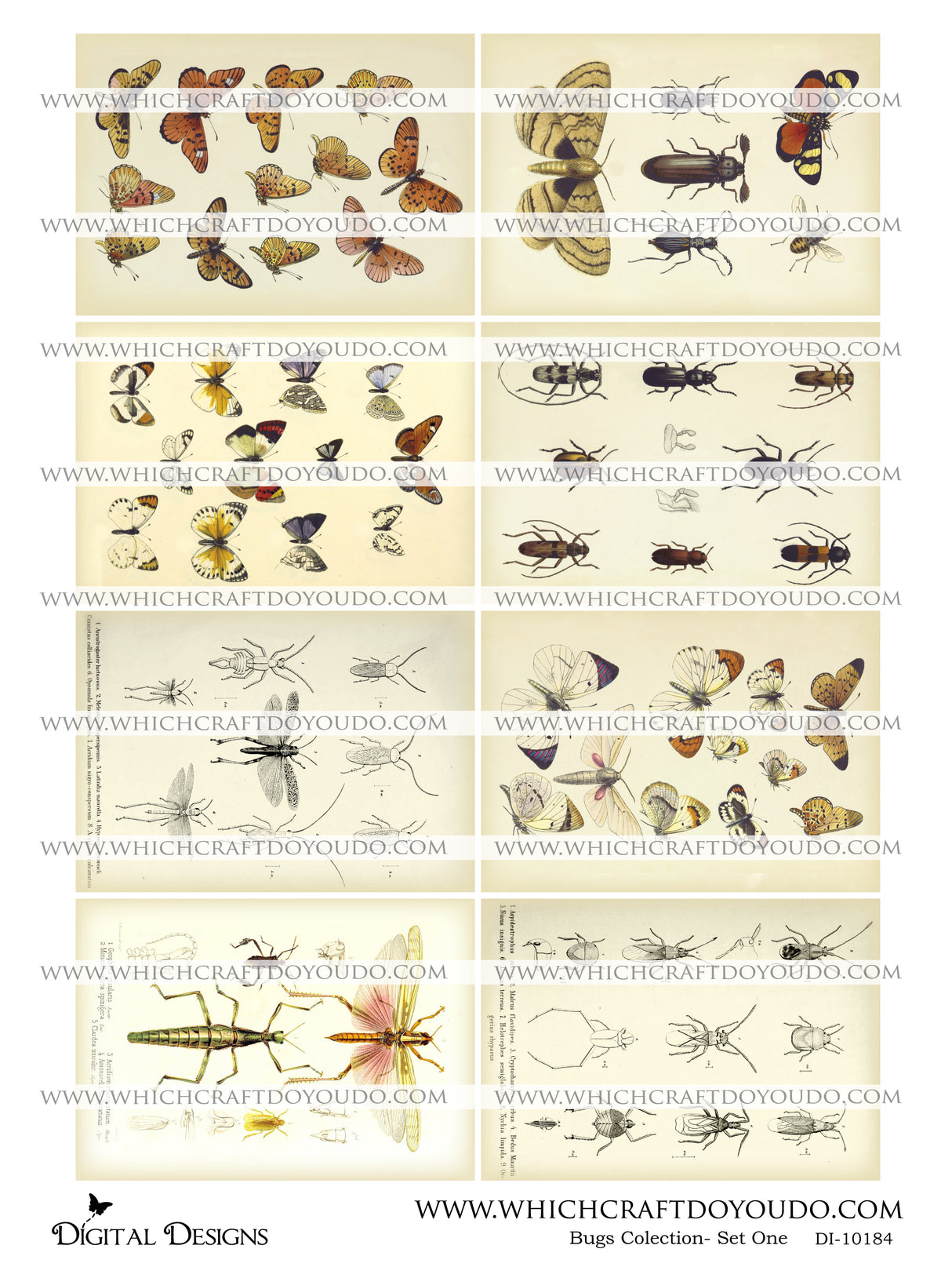 Bugs Collection - Set One - DI-10184 - Digital Download