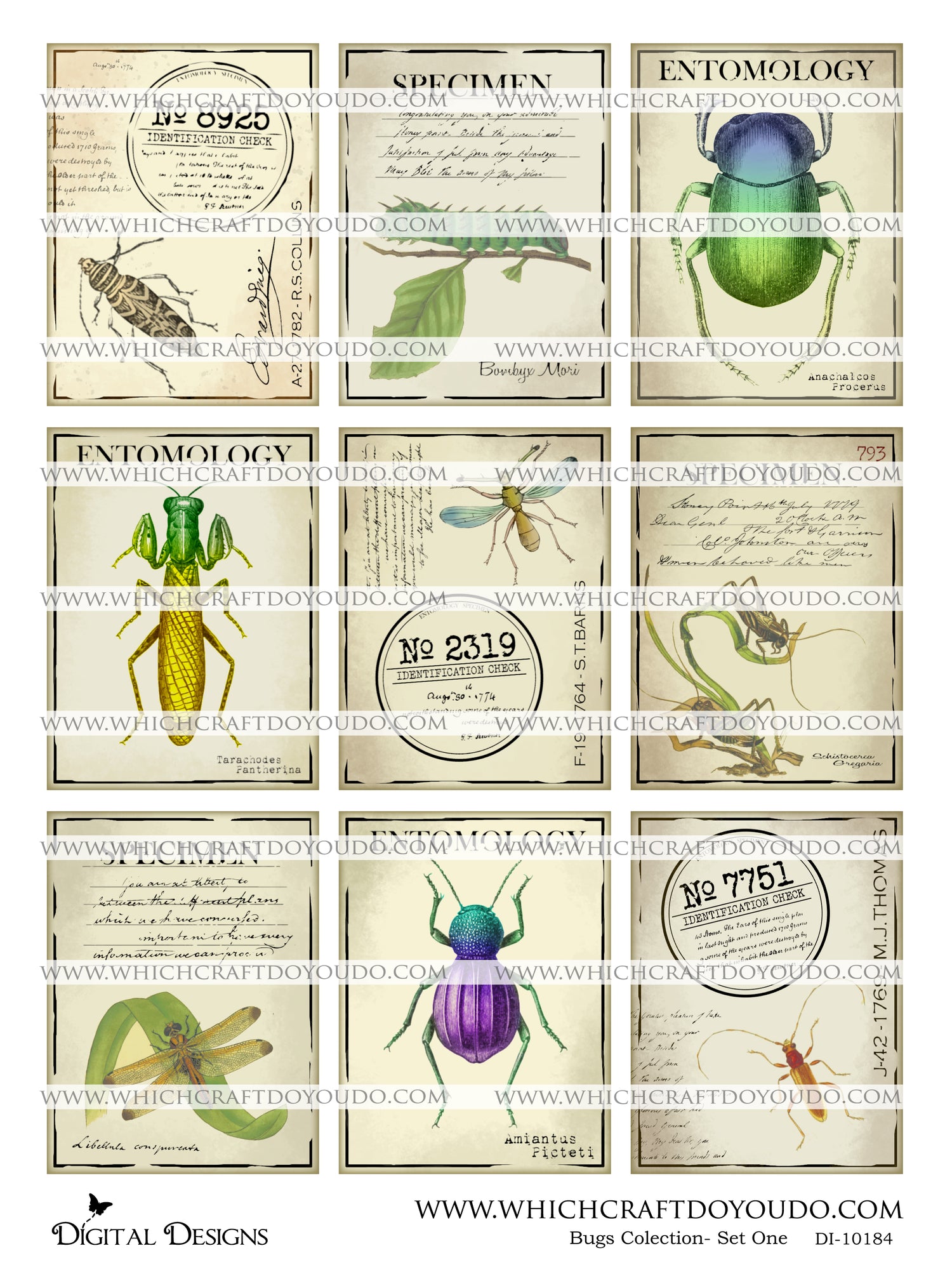 Bugs Collection - Set One - DI-10184 - Digital Download
