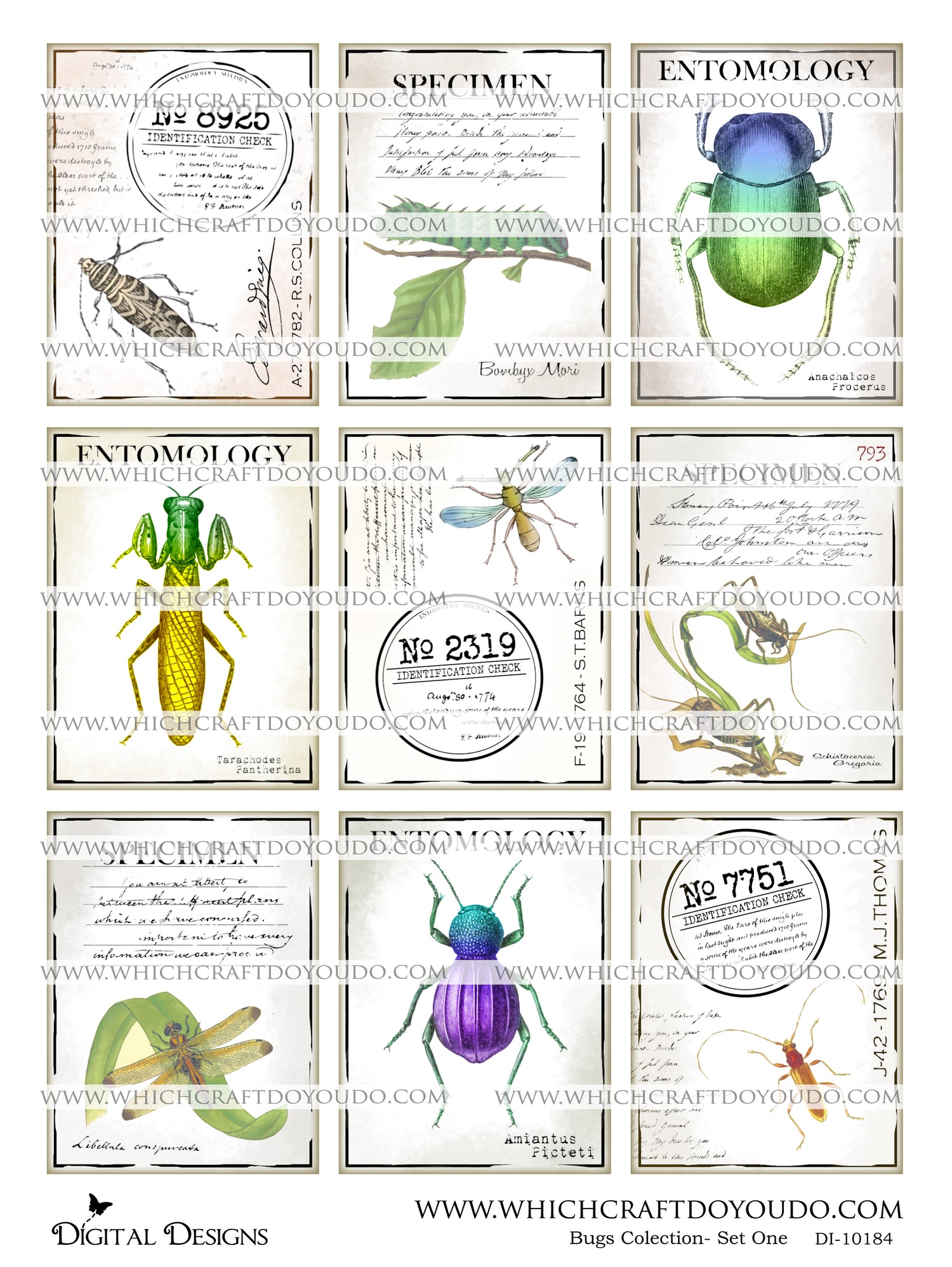 Bugs Collection - Set One - DI-10184 - Digital Download