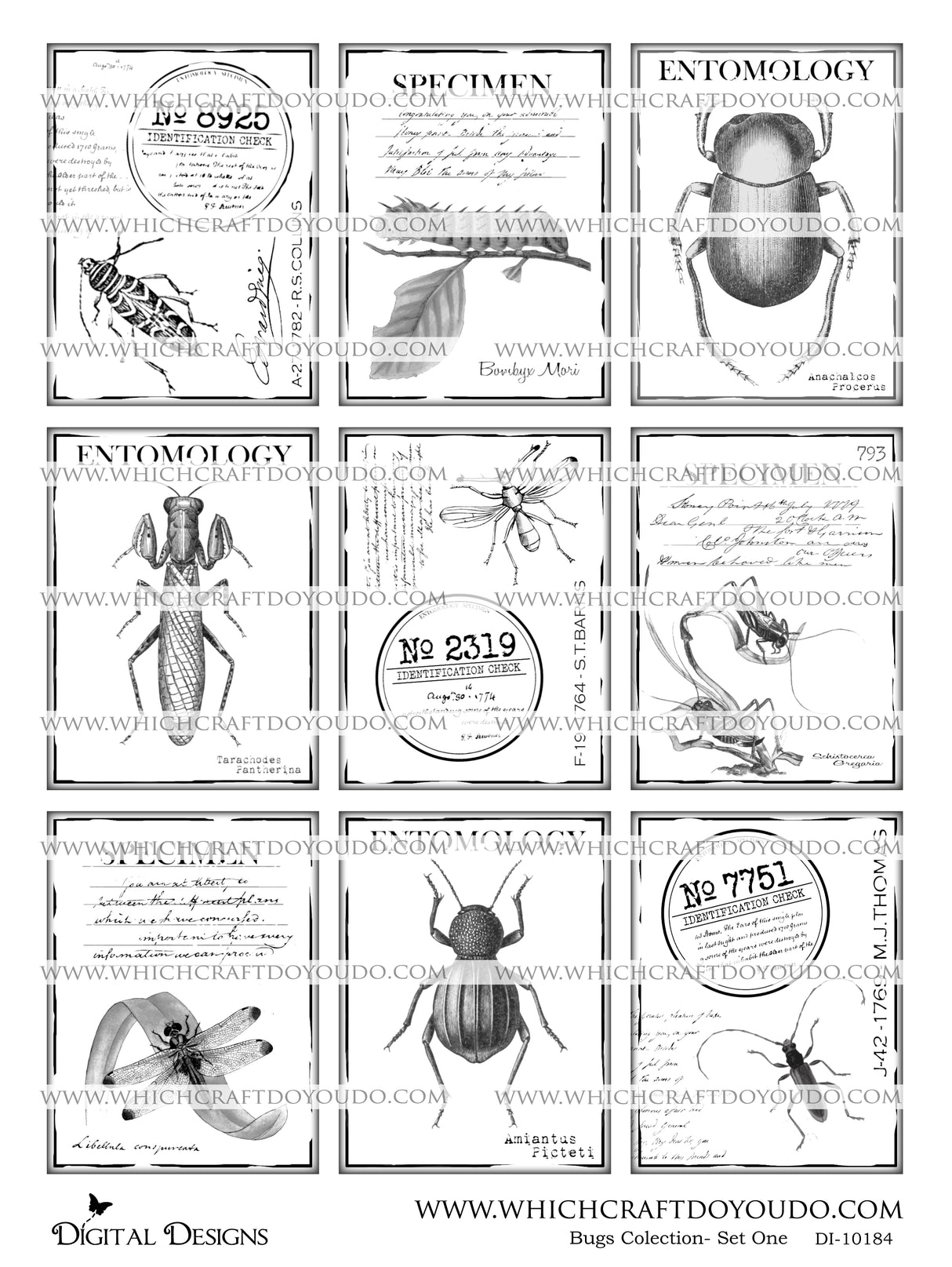 Bugs Collection - Set One - DI-10184 - Digital Download