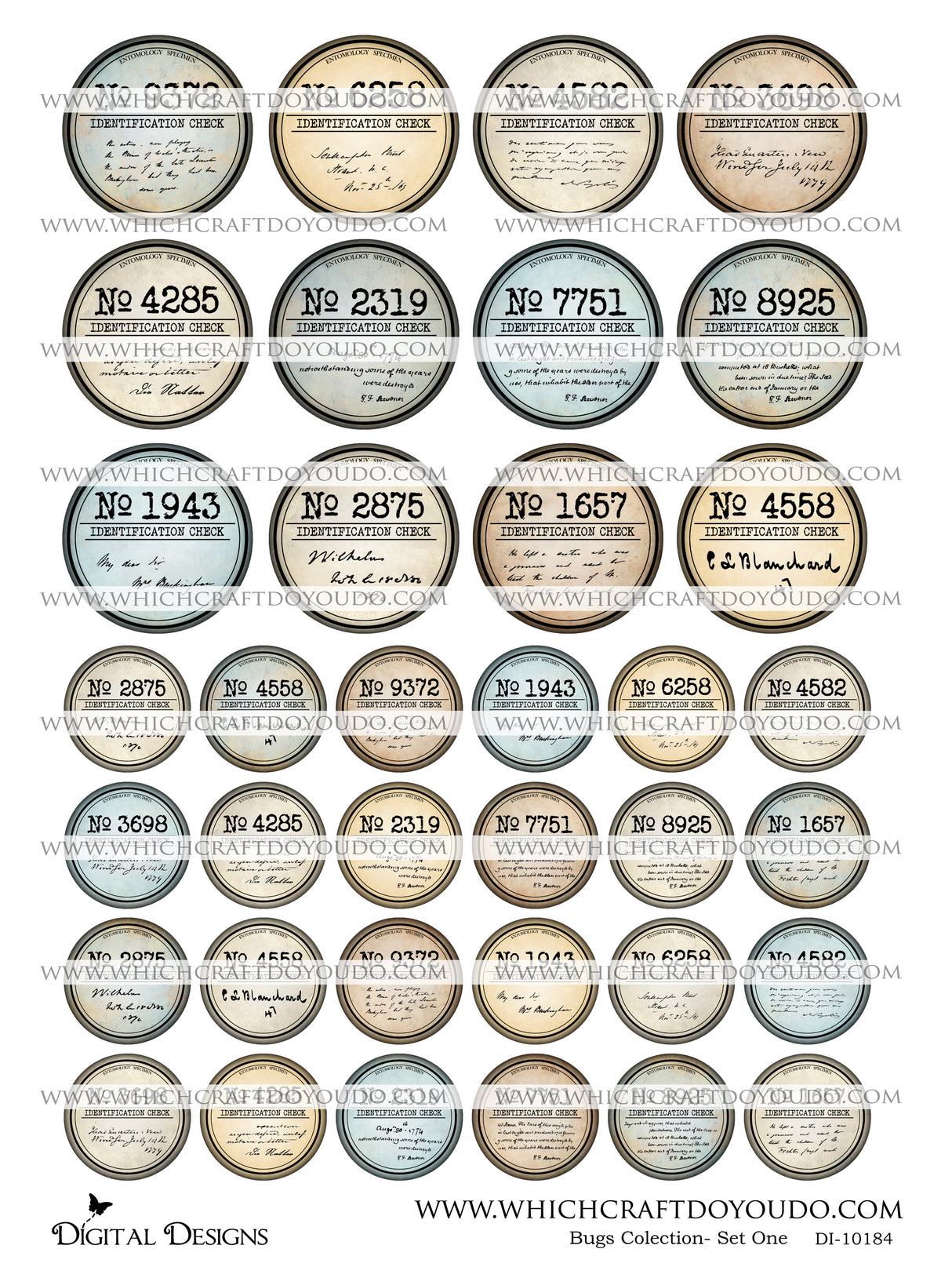 Bugs Collection - Set One - DI-10184 - Digital Download