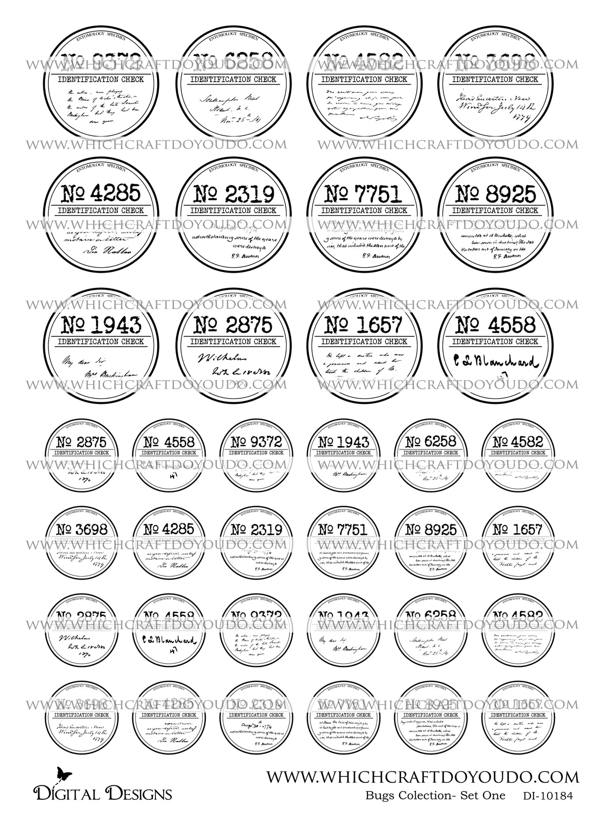 Bugs Collection - Set One - DI-10184 - Digital Download
