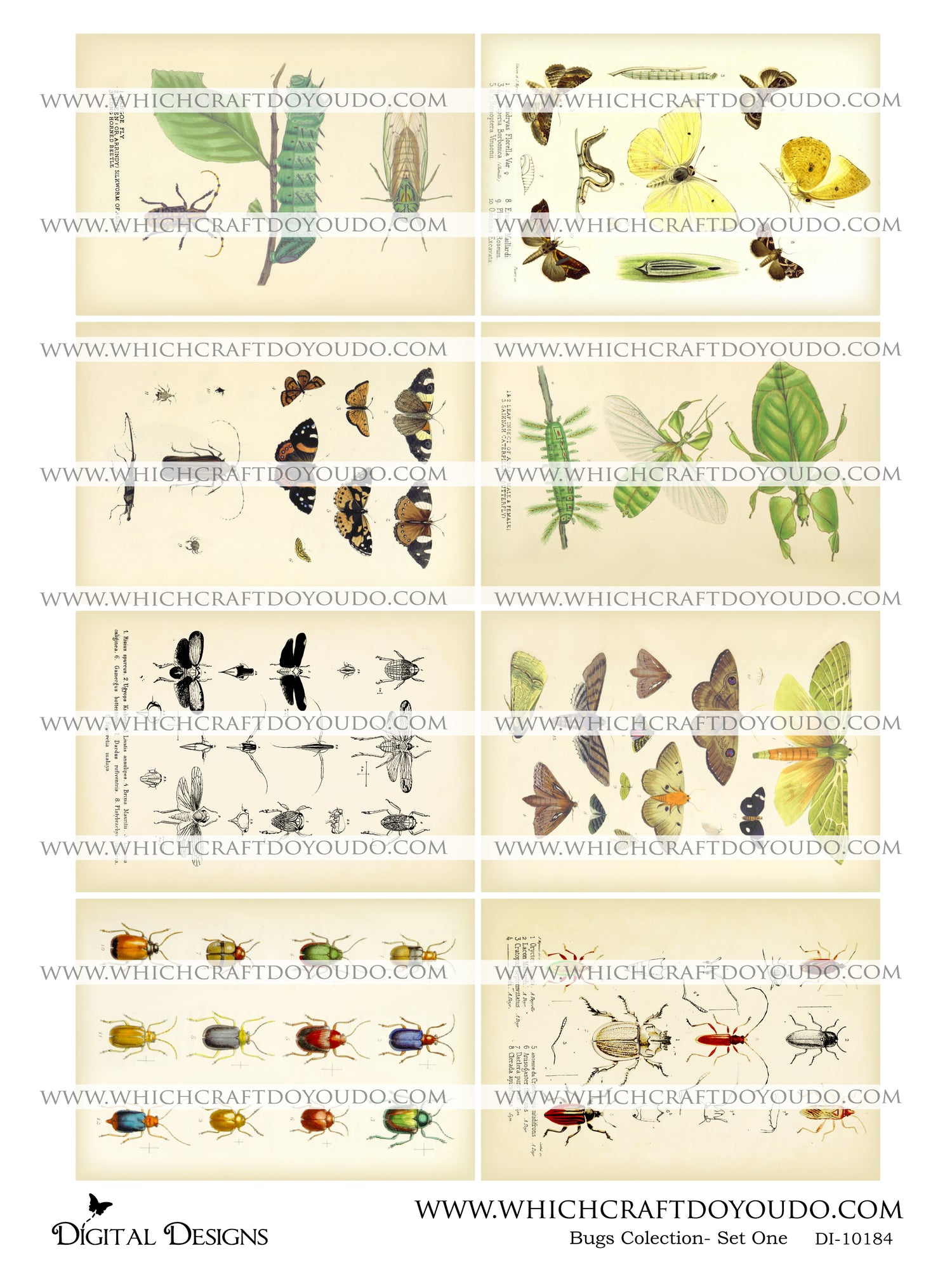 Bugs Collection - Set One - DI-10184 - Digital Download