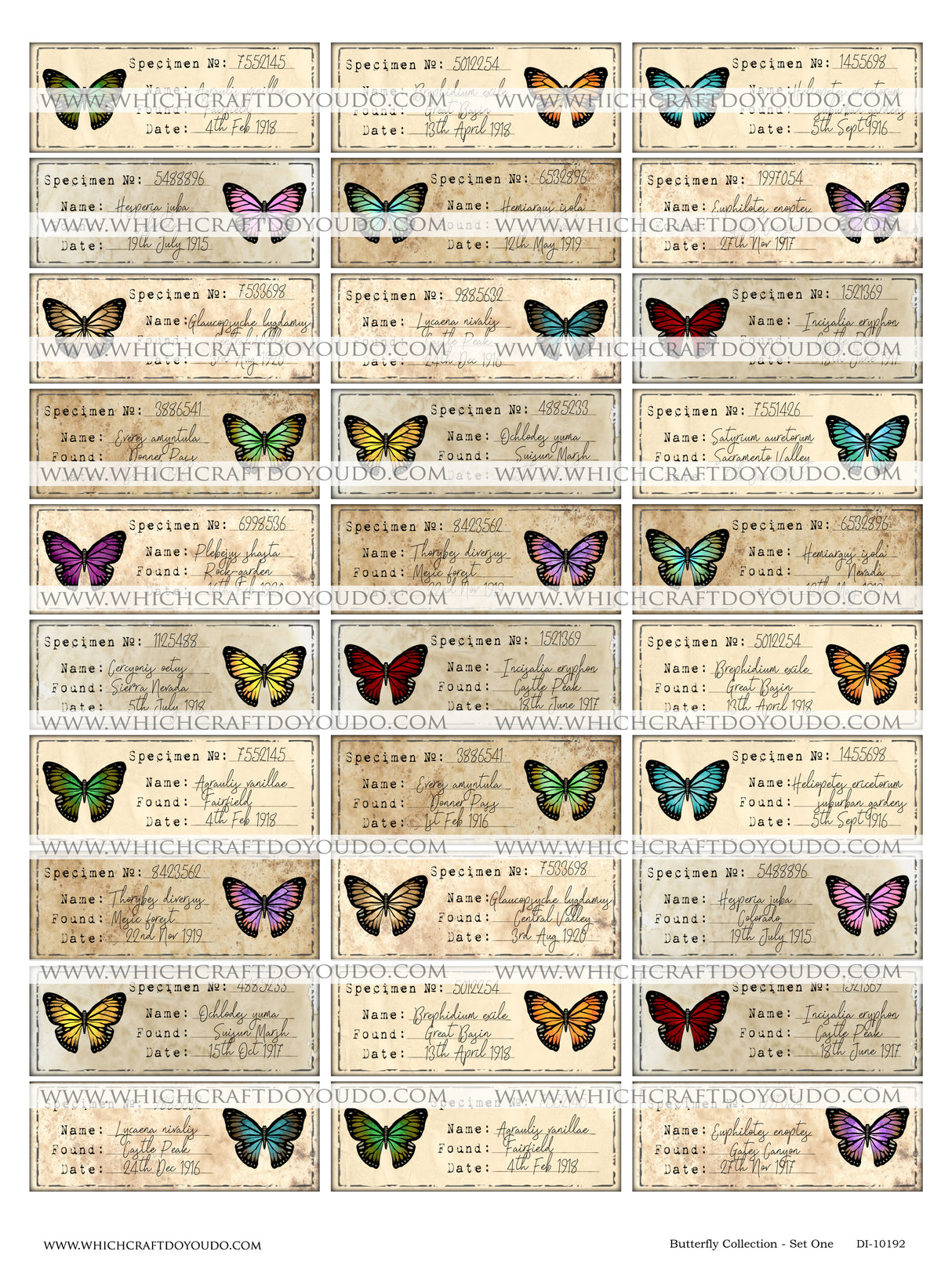 Butterfly Collection - Set One - DI-10192 - Digital Download