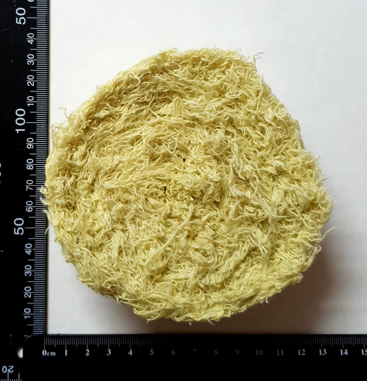 Cotton Cake - Lemon - Roll