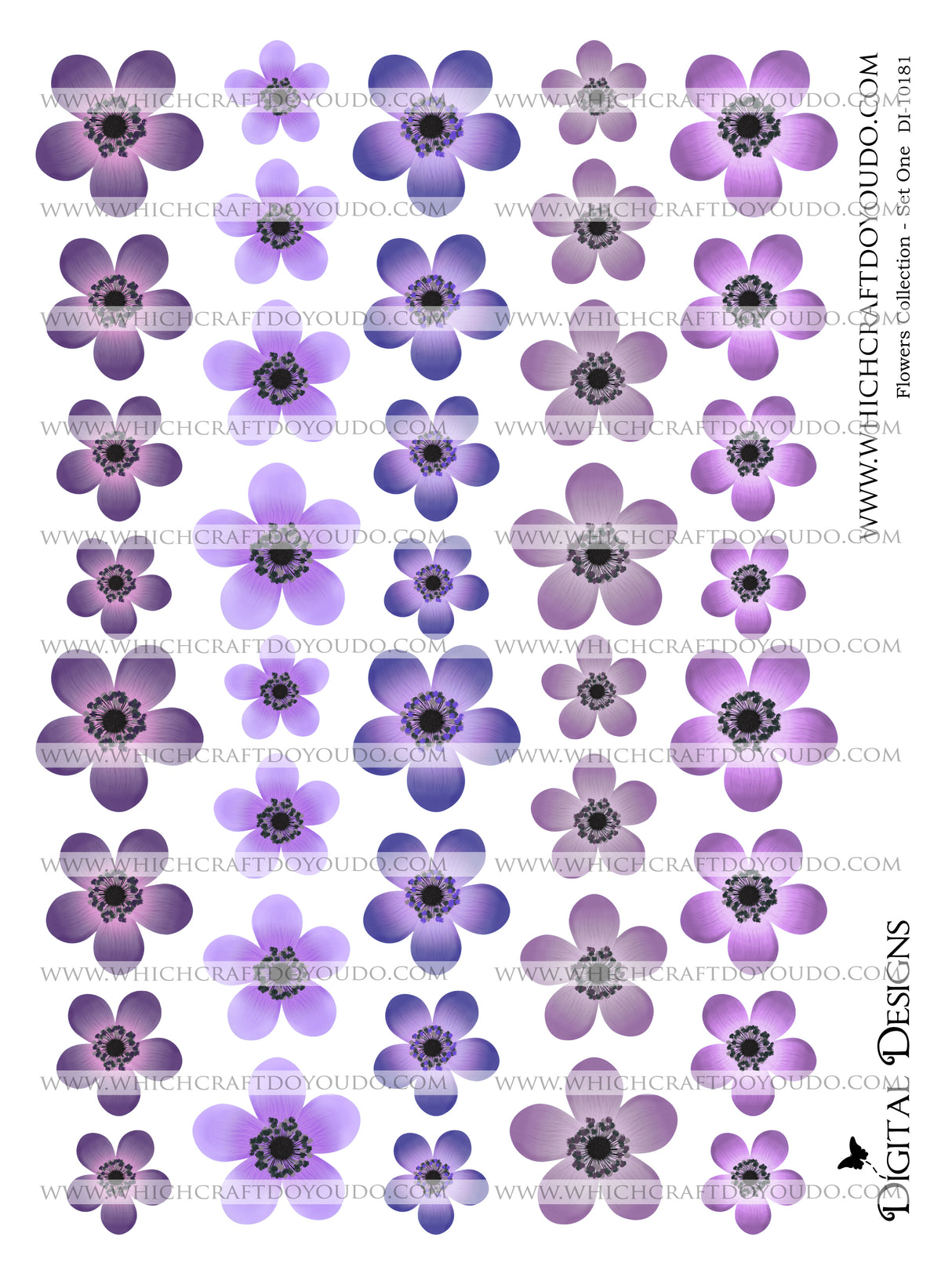 Flowers Collection - Set One - DI-10181 - Digital Download