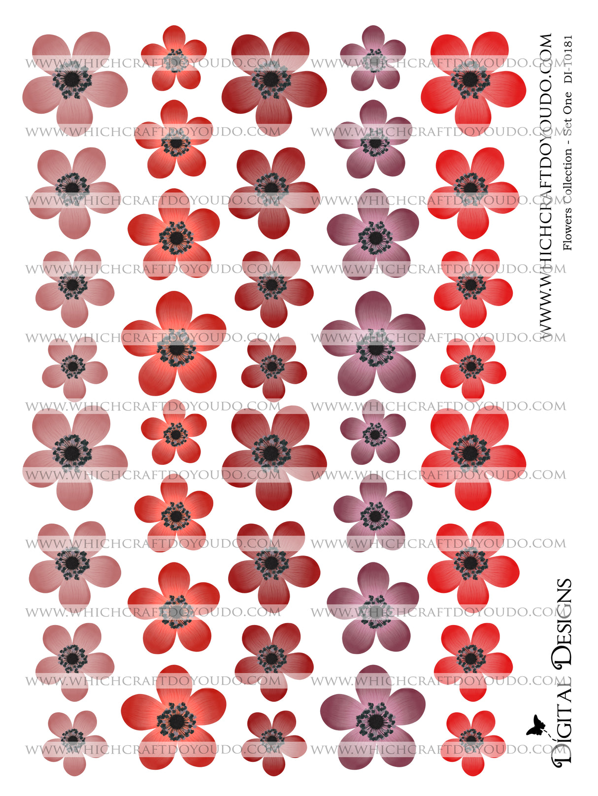 Flowers Collection - Set One - DI-10181 - Digital Download