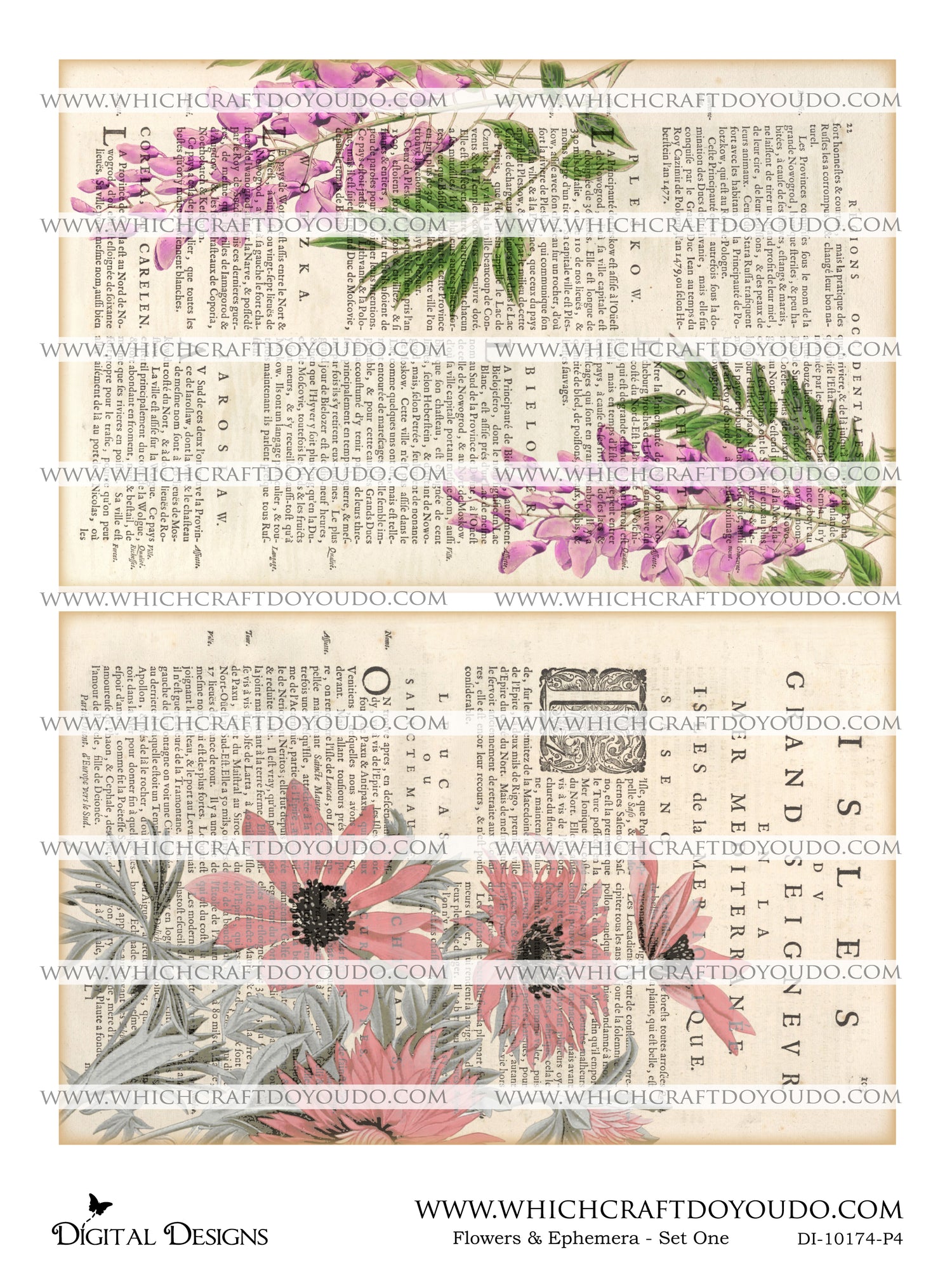 Flowers & Ephemera - Set One - DI-10174 - Digital Download