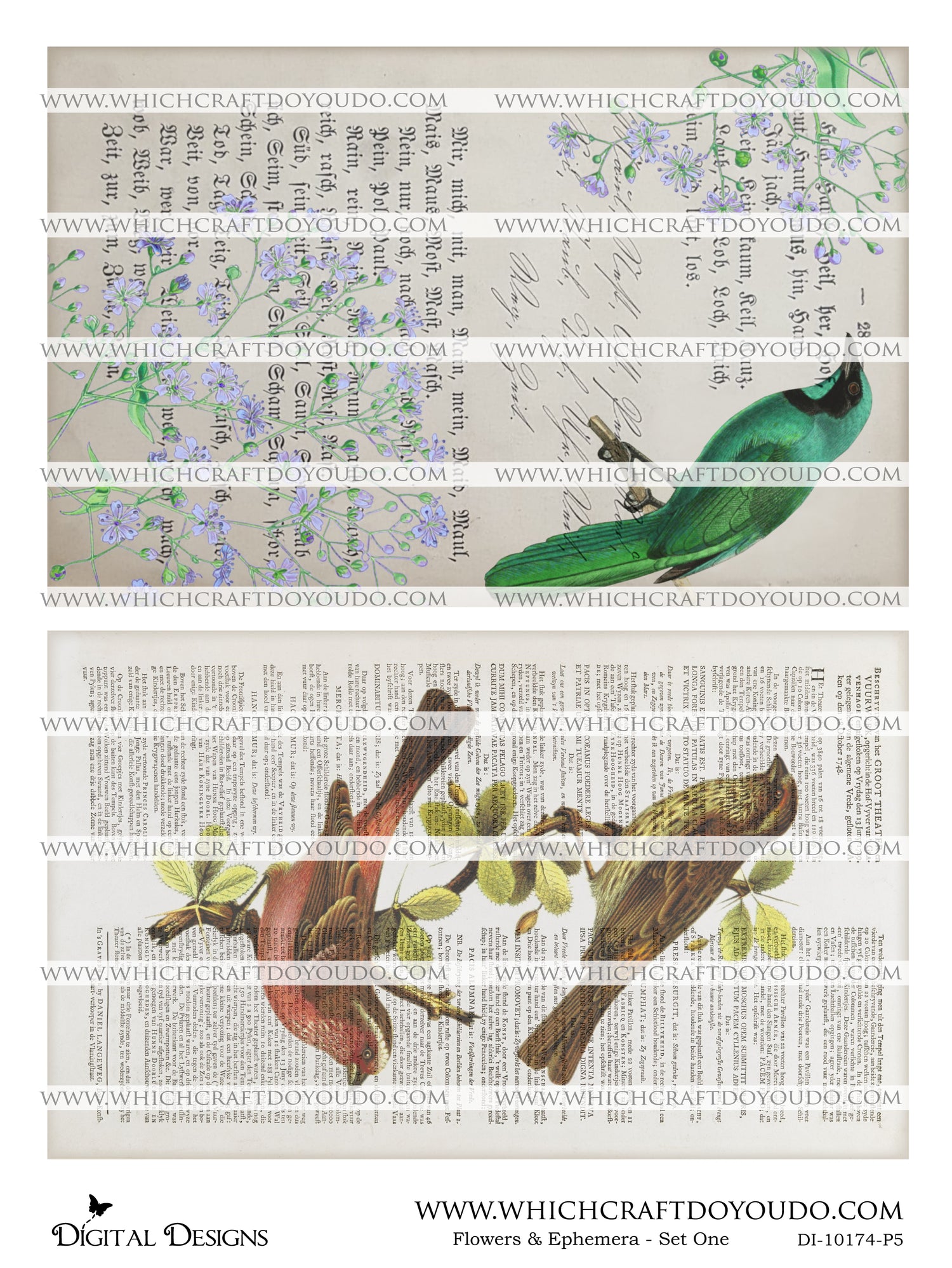 Flowers & Ephemera - Set One - DI-10174 - Digital Download