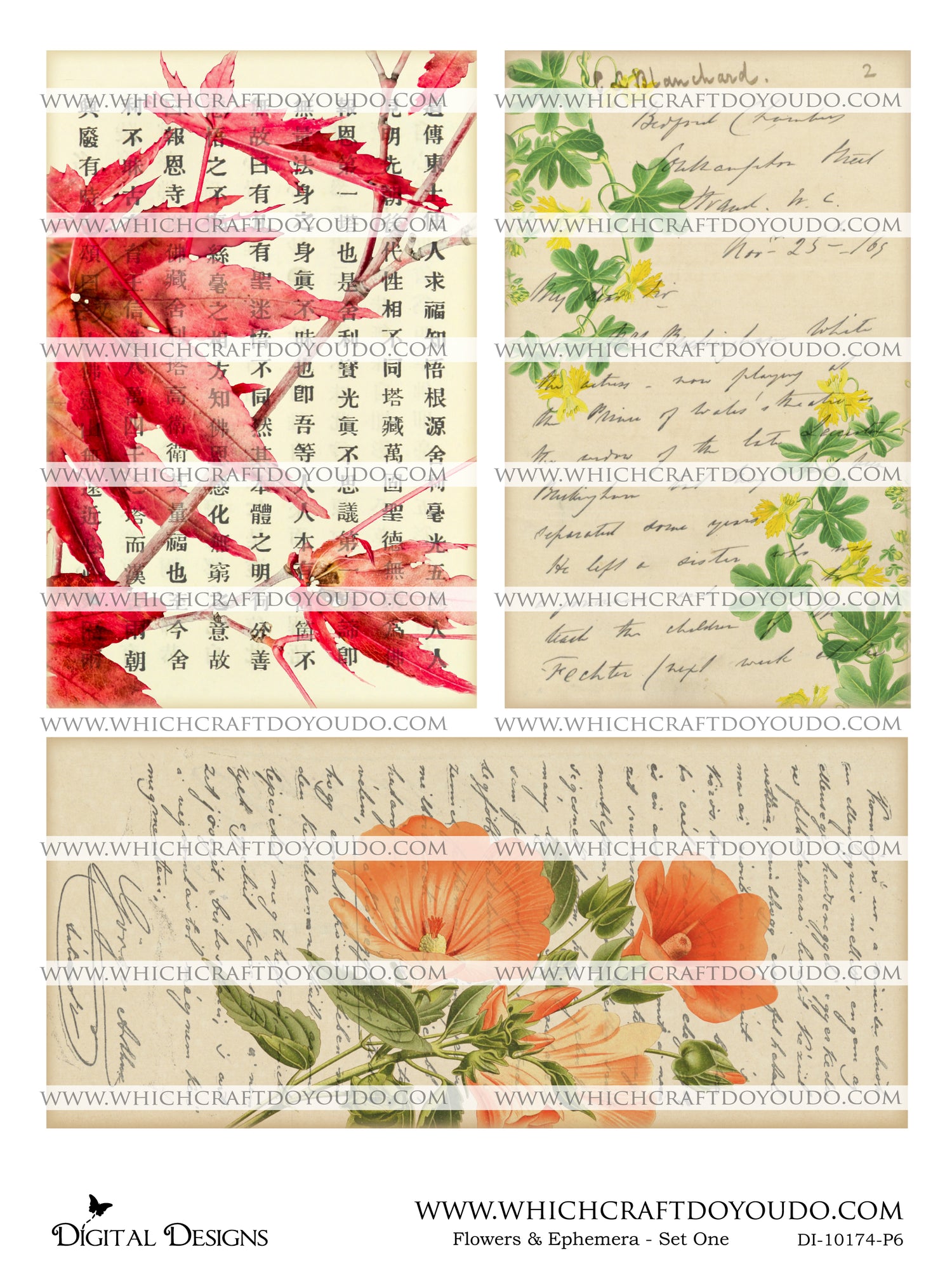 Flowers & Ephemera - Set One - DI-10174 - Digital Download