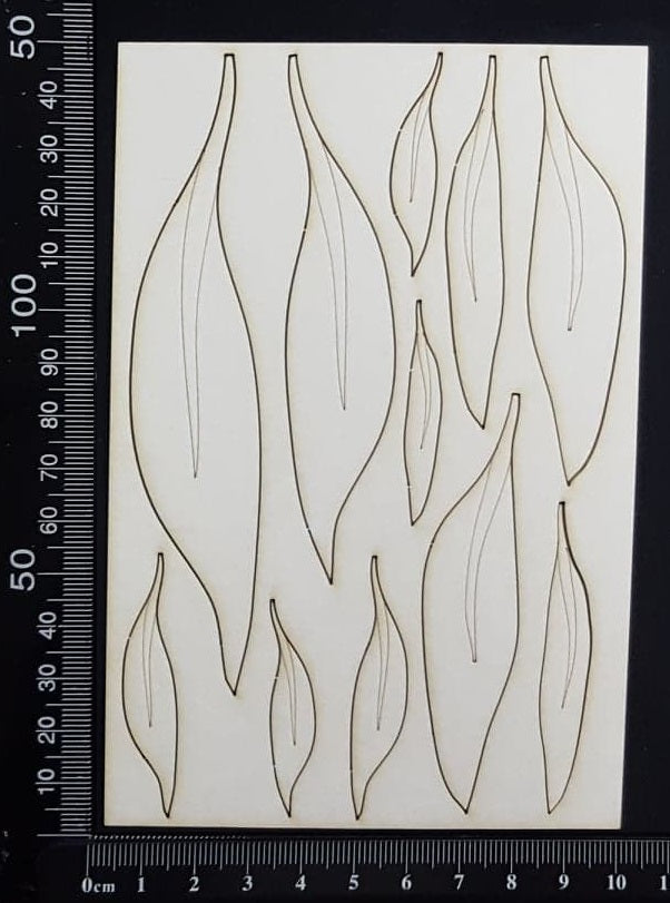 Gum Leaves Set - White Chipboard
