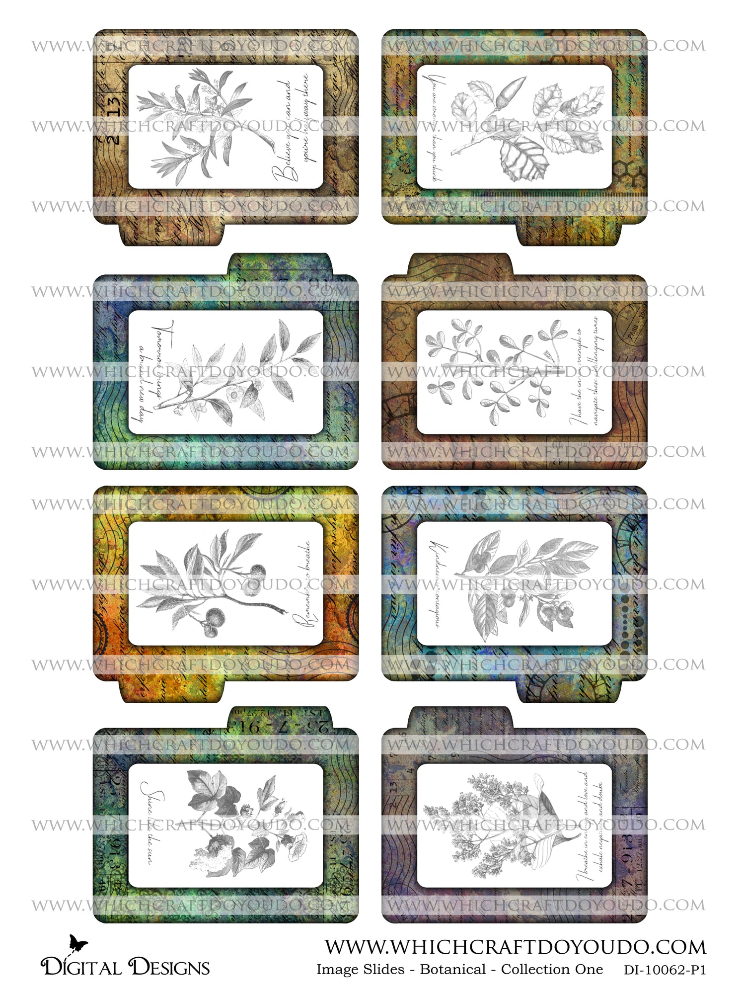 Image Slides - Botanical - Collection One - DI-10062 - Digital Download